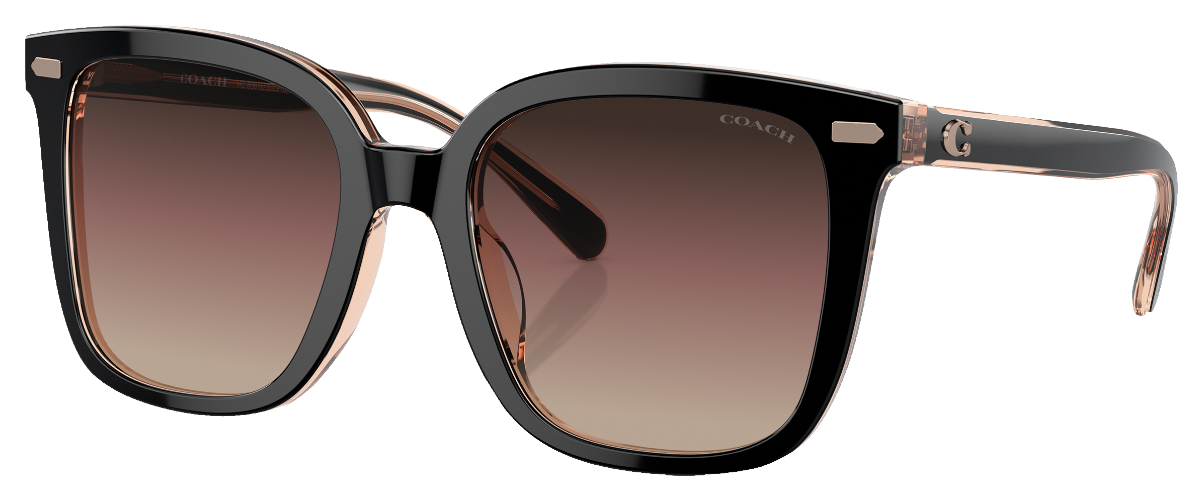 Image of Coach HC8381U Sunglasses for Ladies - Black/Violet Gradient - Large