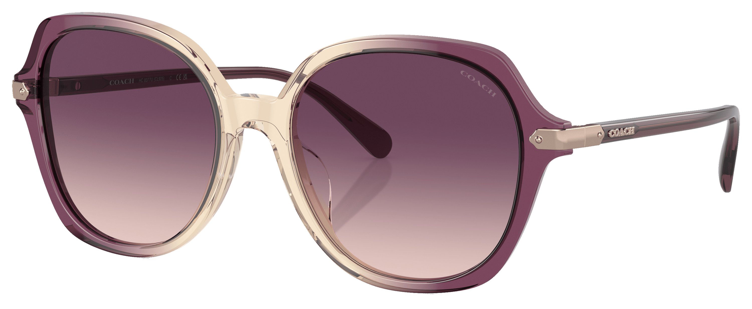 Image of Coach HC8377U Sunglasses for Ladies - Multi/Violet Gradient - XX-Large