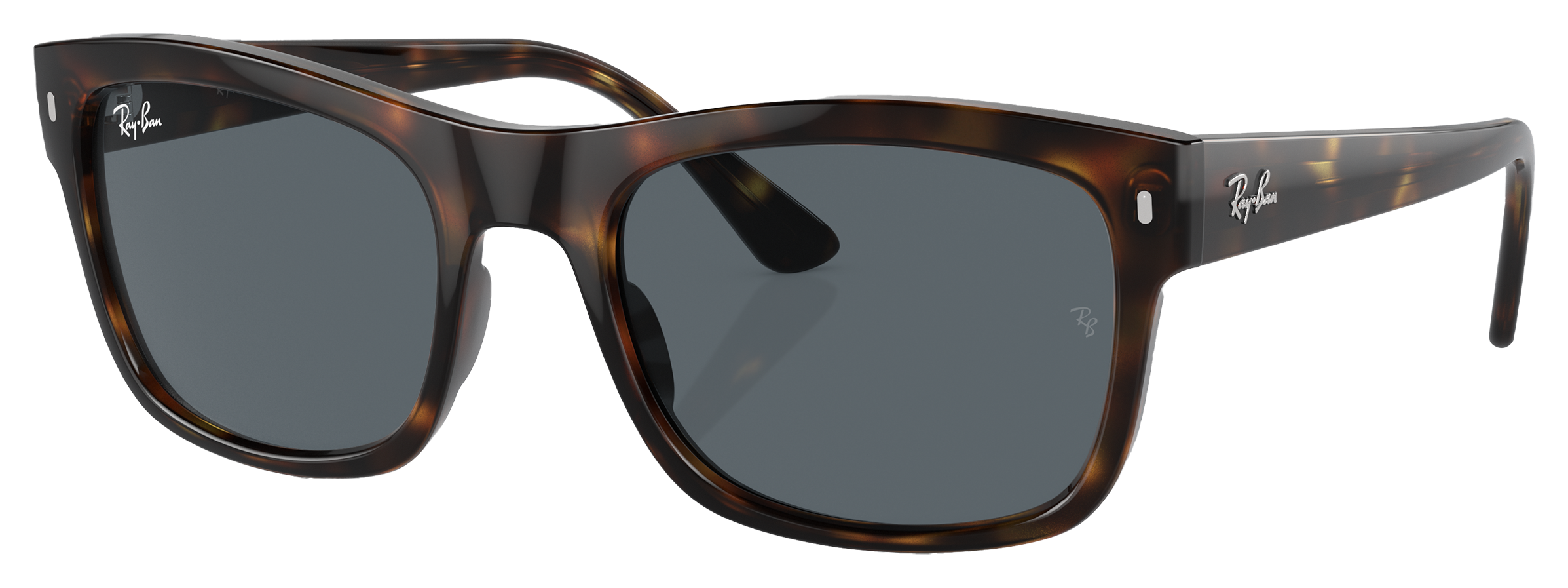 RAY-BAN RB4428 Glass Sunglasses