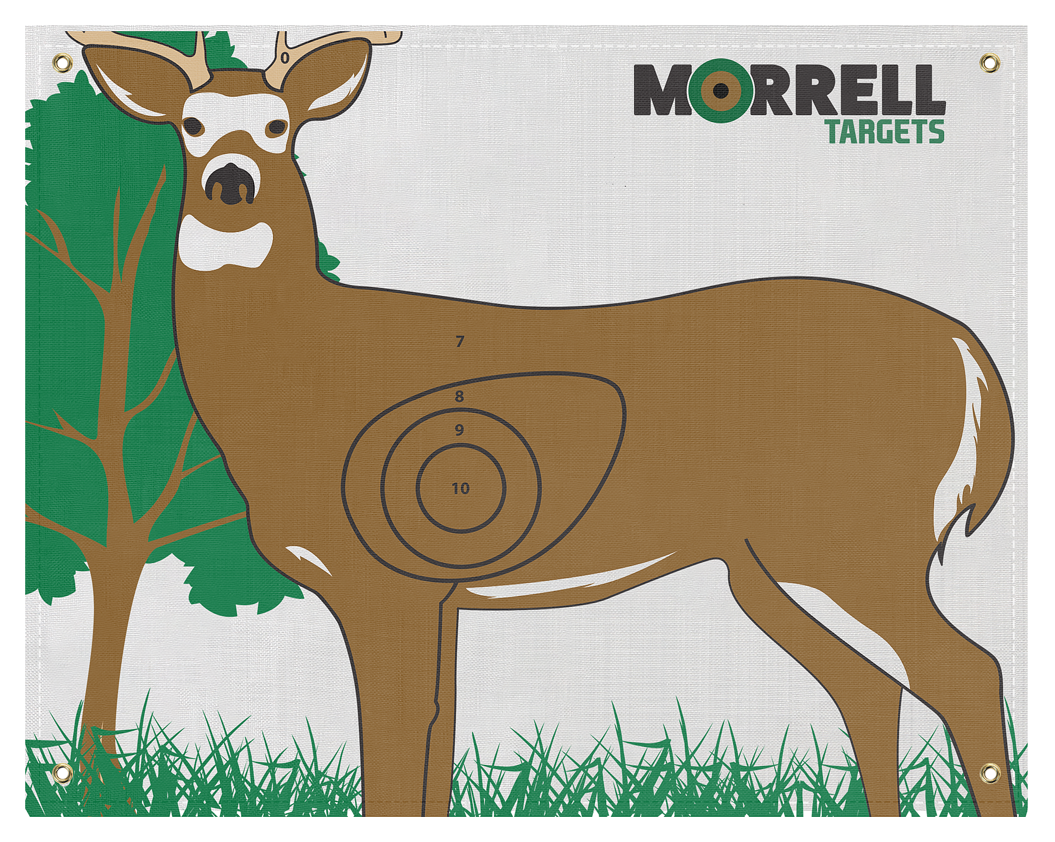 Morrell IBO/NASP Whitetail Deer Polypropylene Archery Target Face
