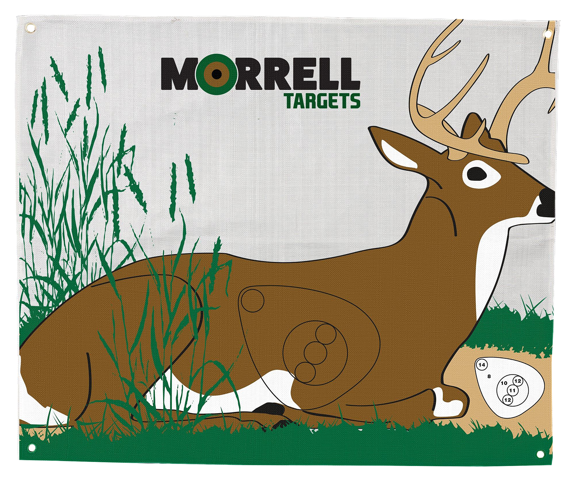 Image of Morrell Bedded Deer Polypropylene Archery Target Face