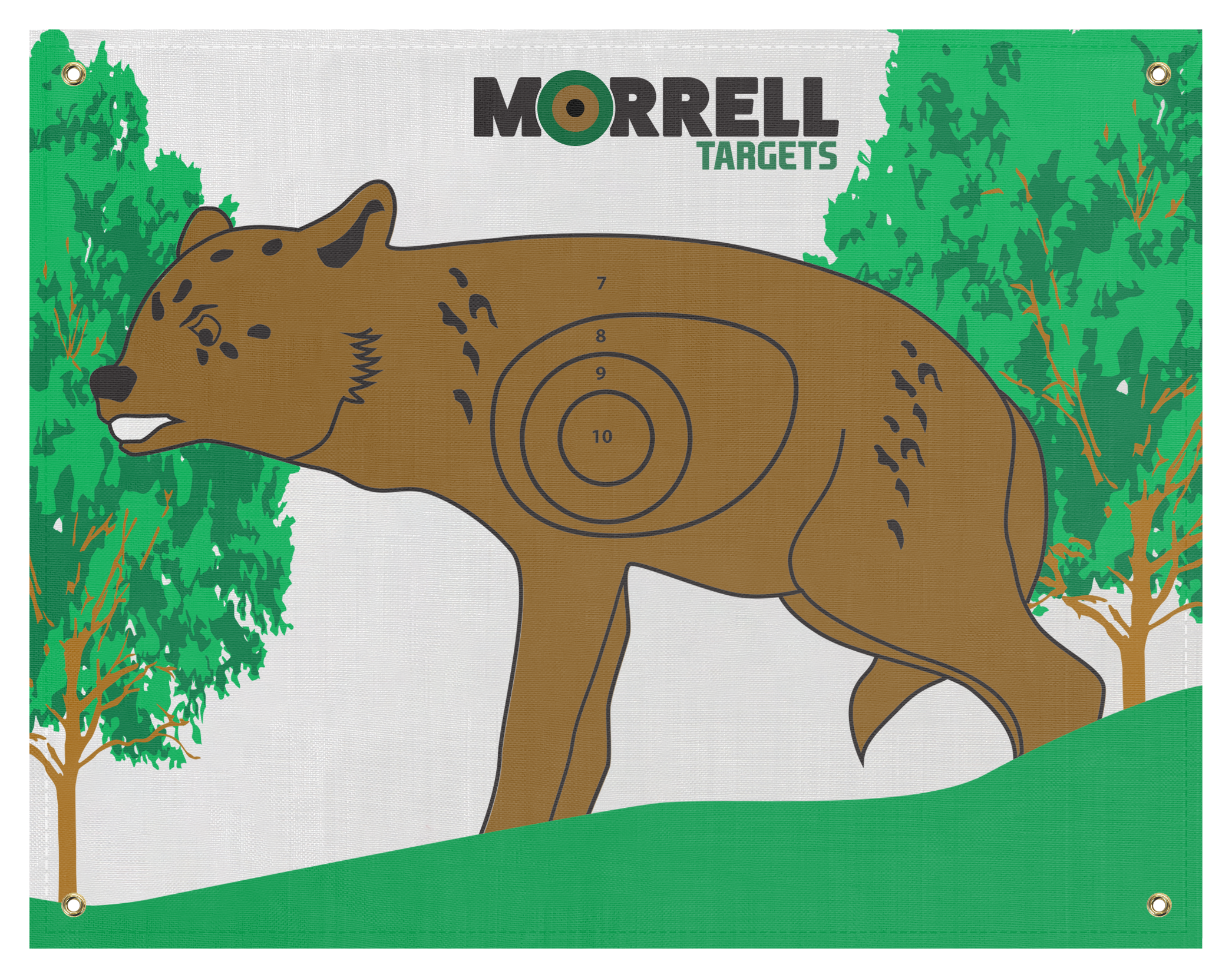 Morrell NASP-IBO Coyote Archery Target Face