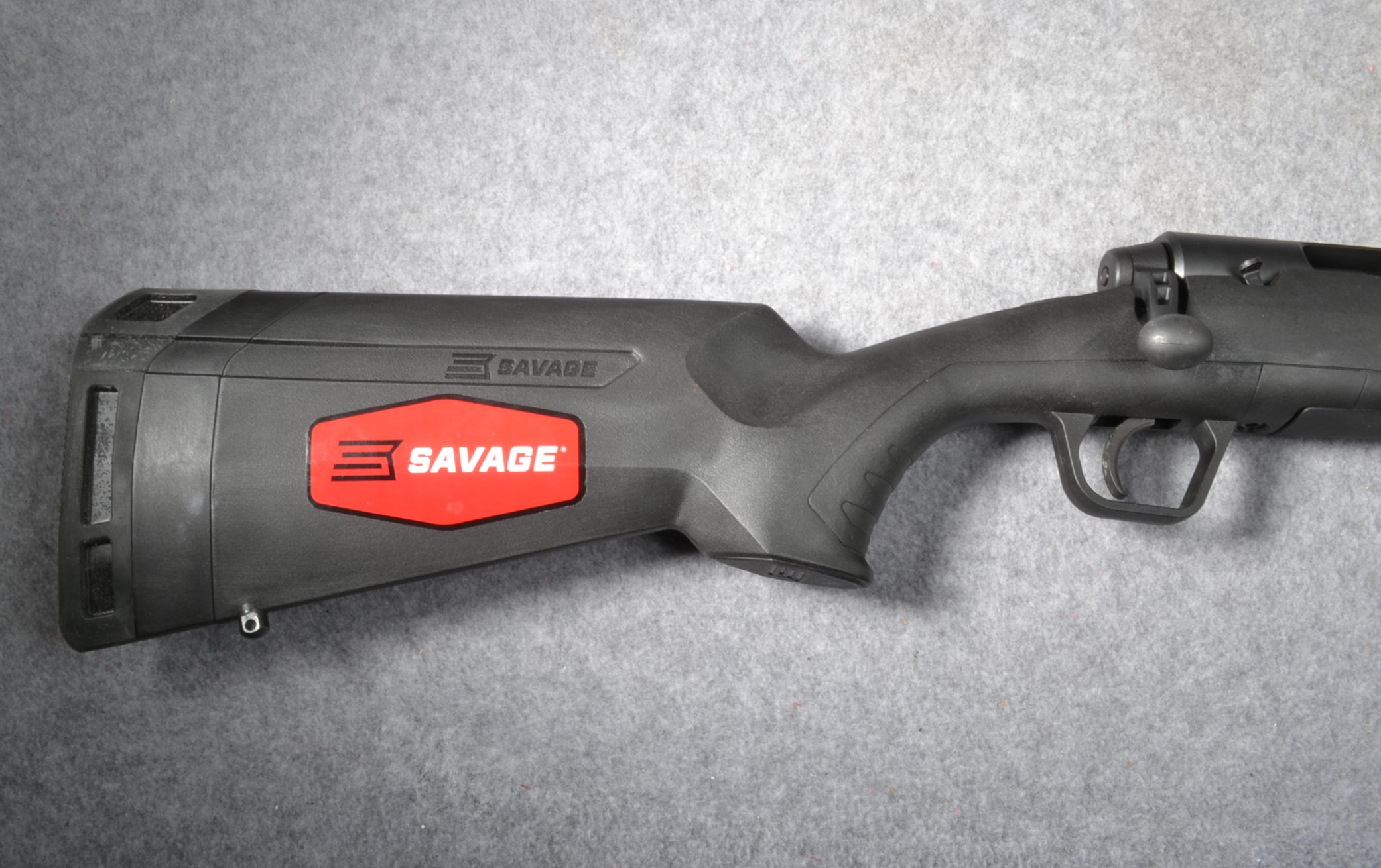 ++SAVAGE AXIS .270 WINCHESTER - Savage Arms