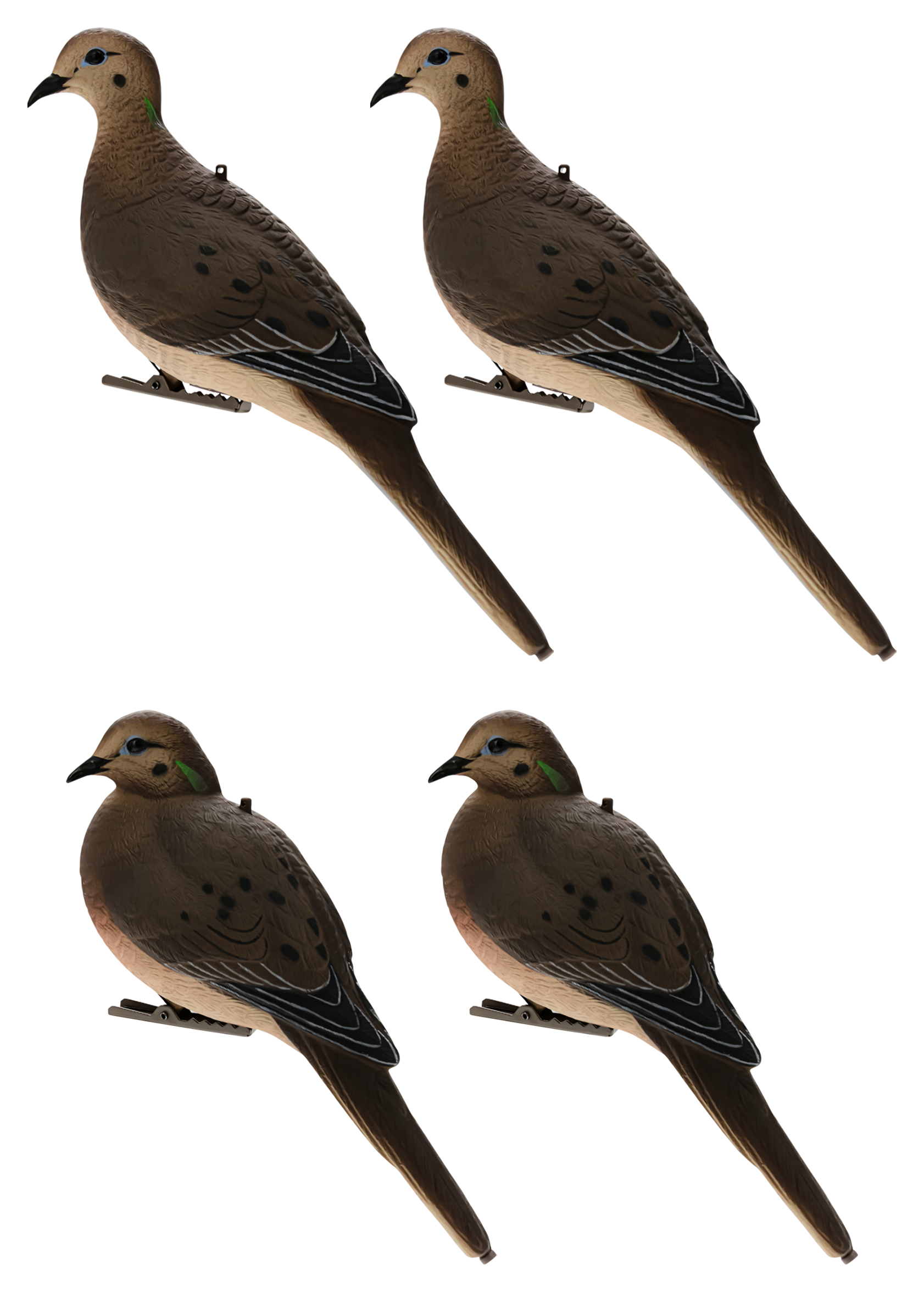 AVIAN-X Full-Body Dove Decoys 4-Pack