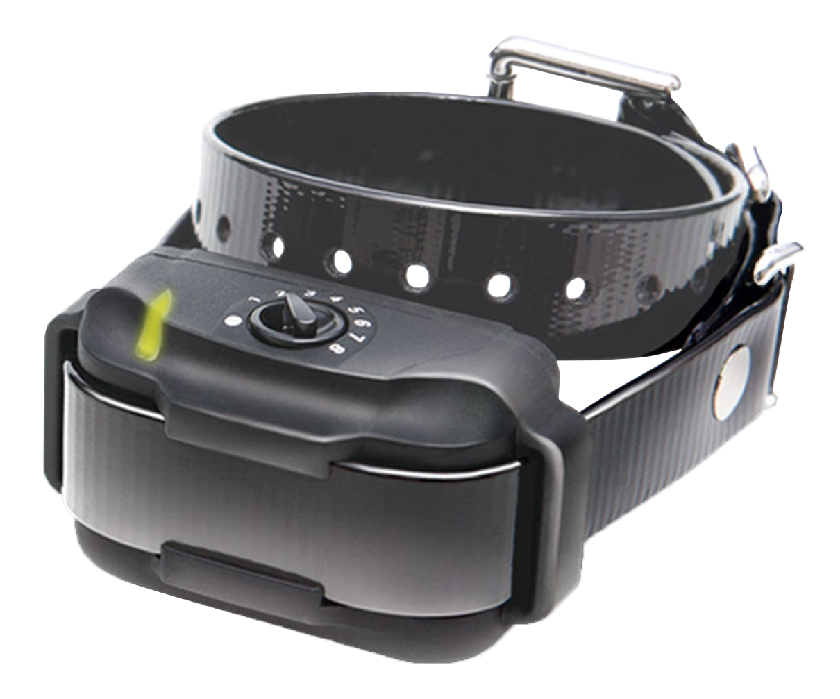 Image of Dogtra Additional EF-3500 E-Collar for Dogs