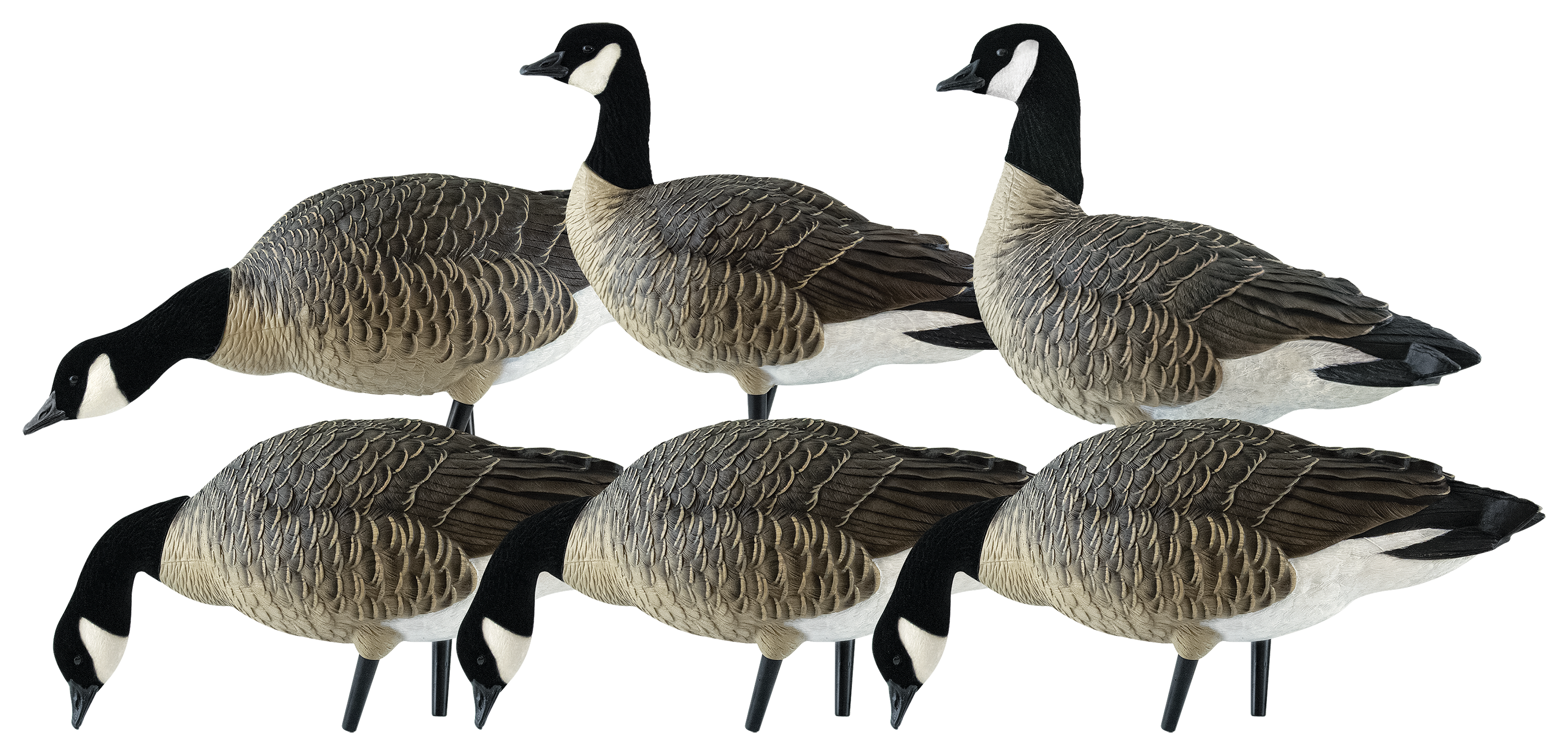 AXP Full-Body Lesser Canada Goose Decoys 6-Pack
