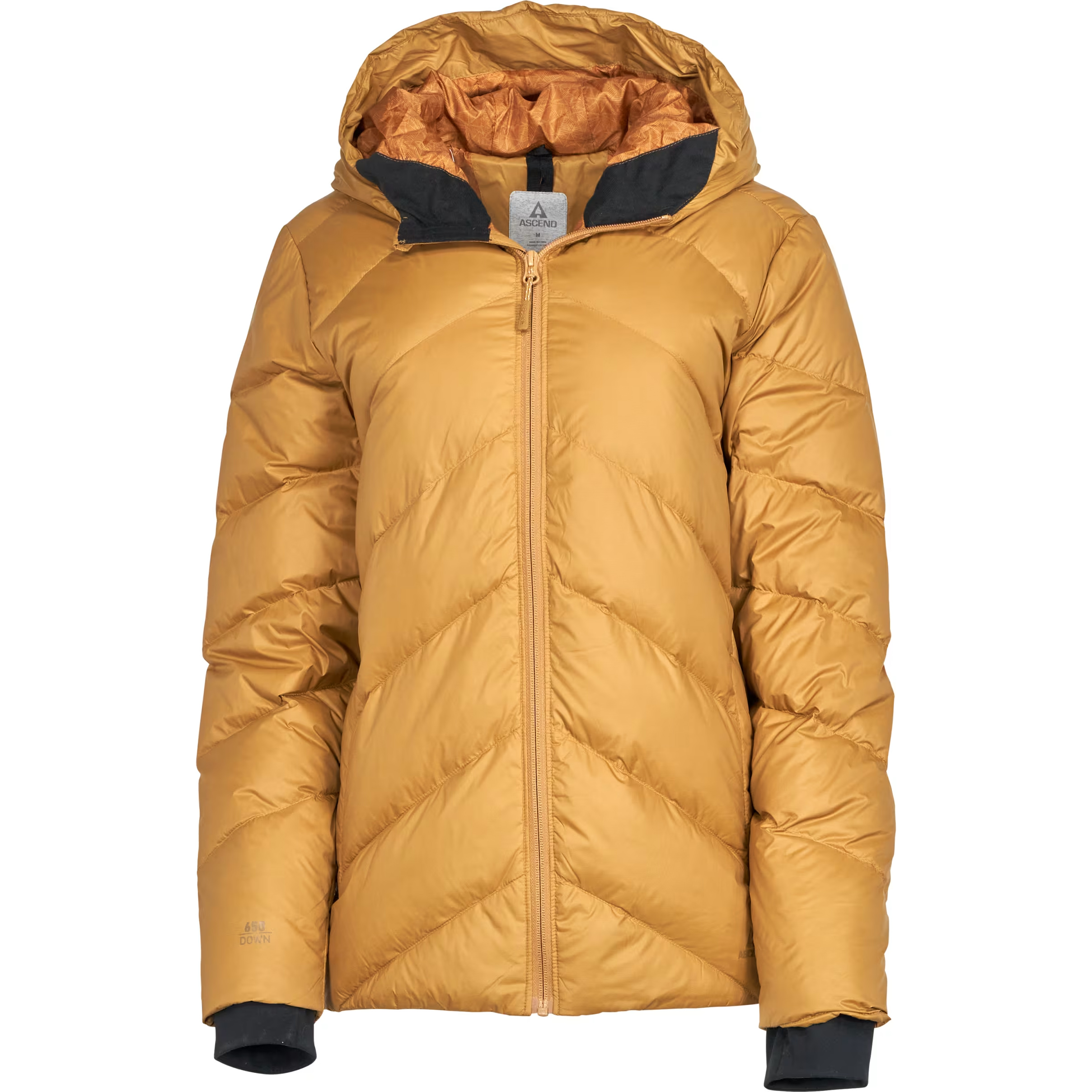 ASCEND Excel Down Hooded Jacket