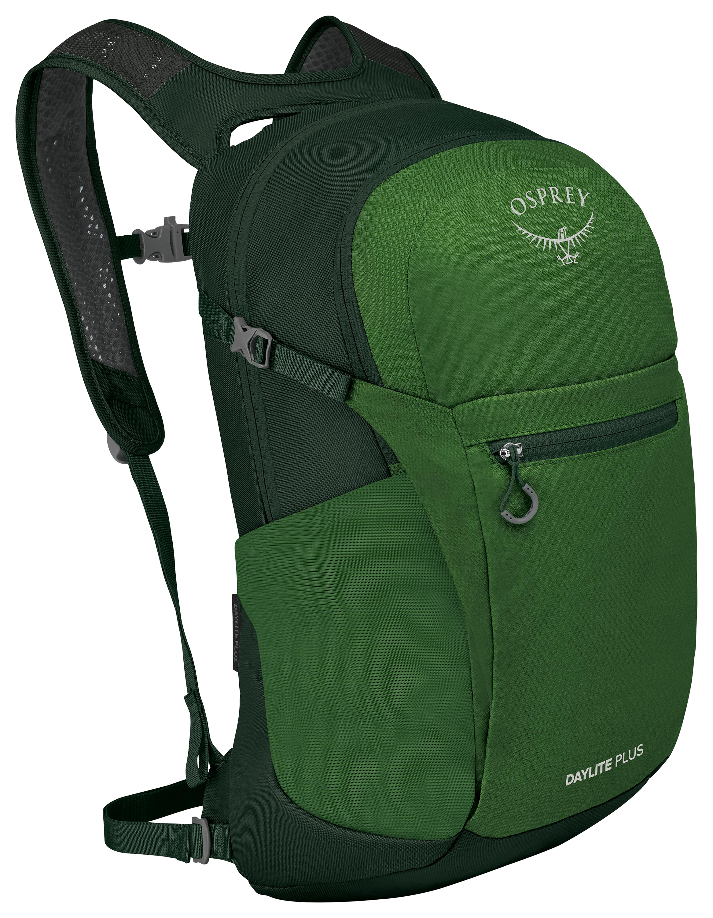 Image of Osprey Daylite Plus Backpack - Green Belt