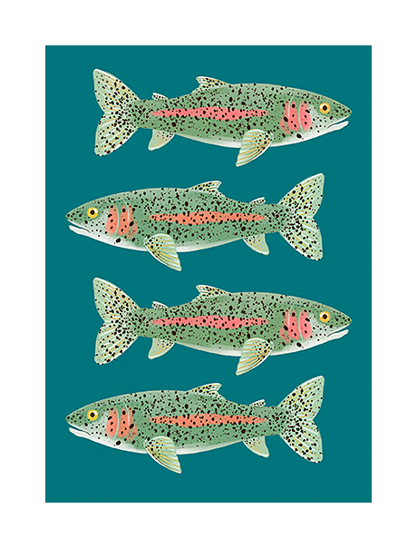 Image of Denik Trout Notebook