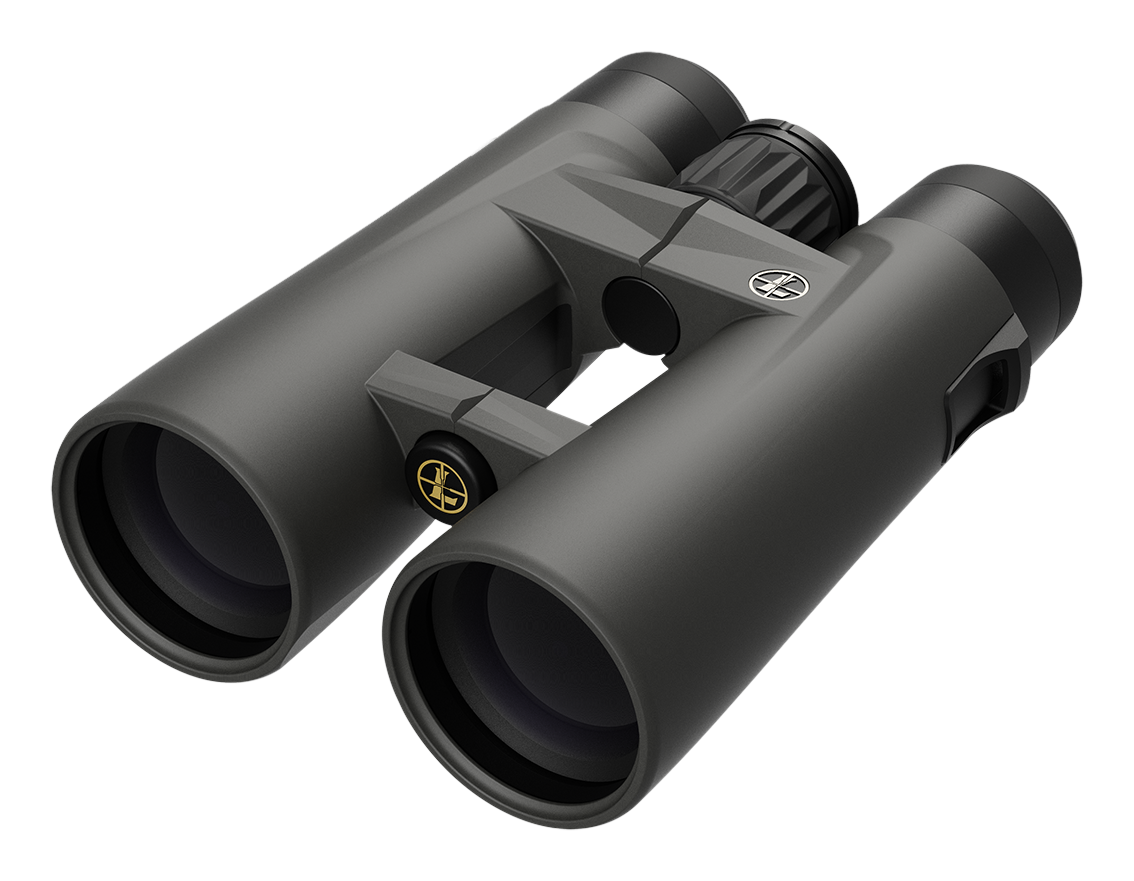 Image of Leupold BX-4 Pro Guide HD Gen 2 Binoculars - 12x50mm