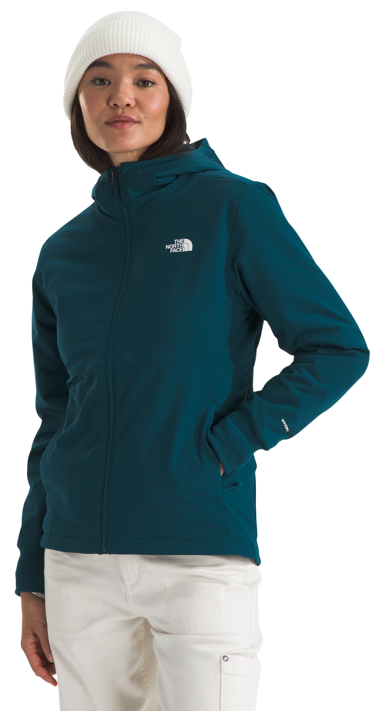 THE NORTH FACE Shelbe Raschel Hoodie for Ladies
