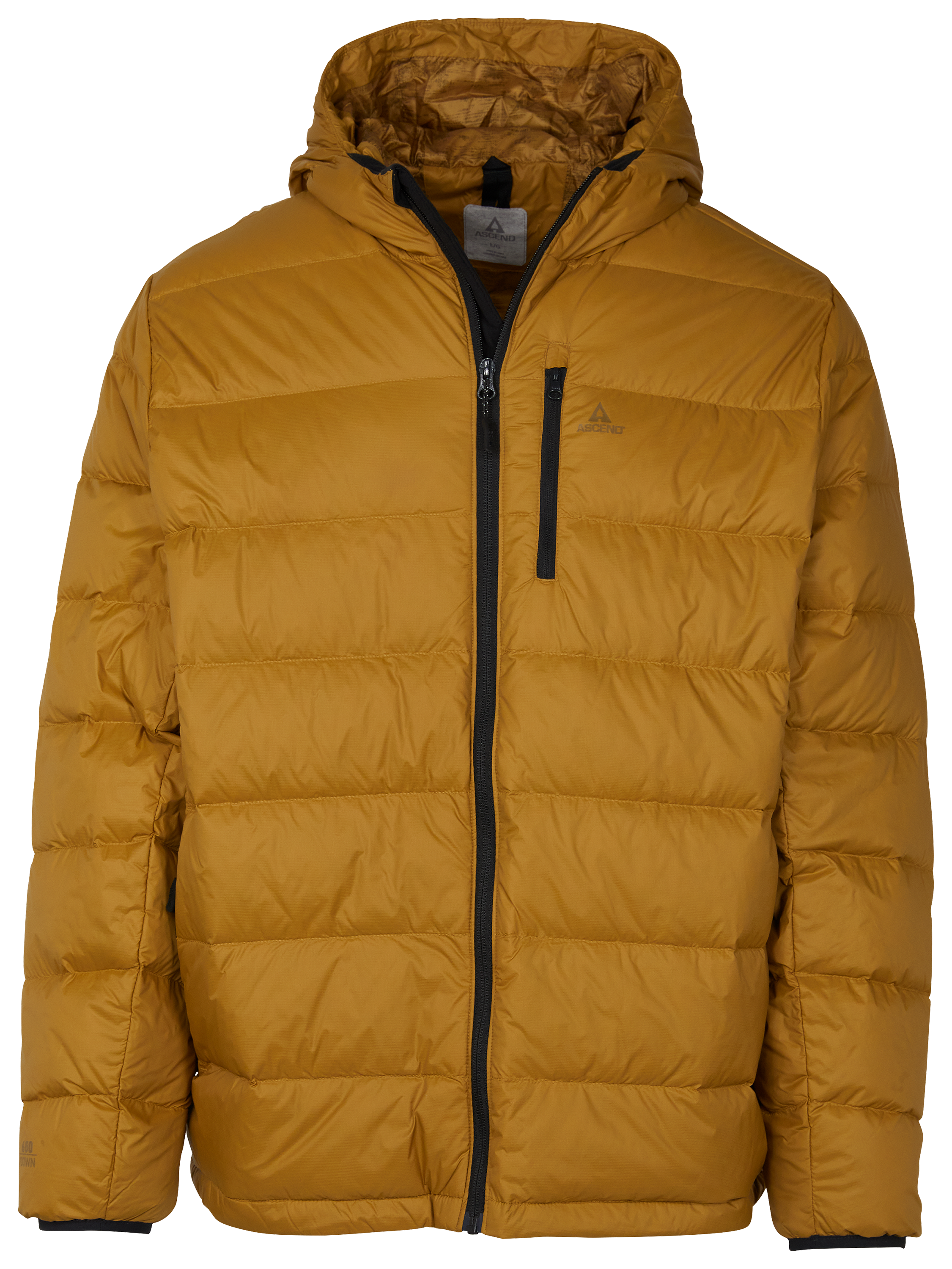 Image of Ascend Down Hooded Jacket for Men - Bistre - S