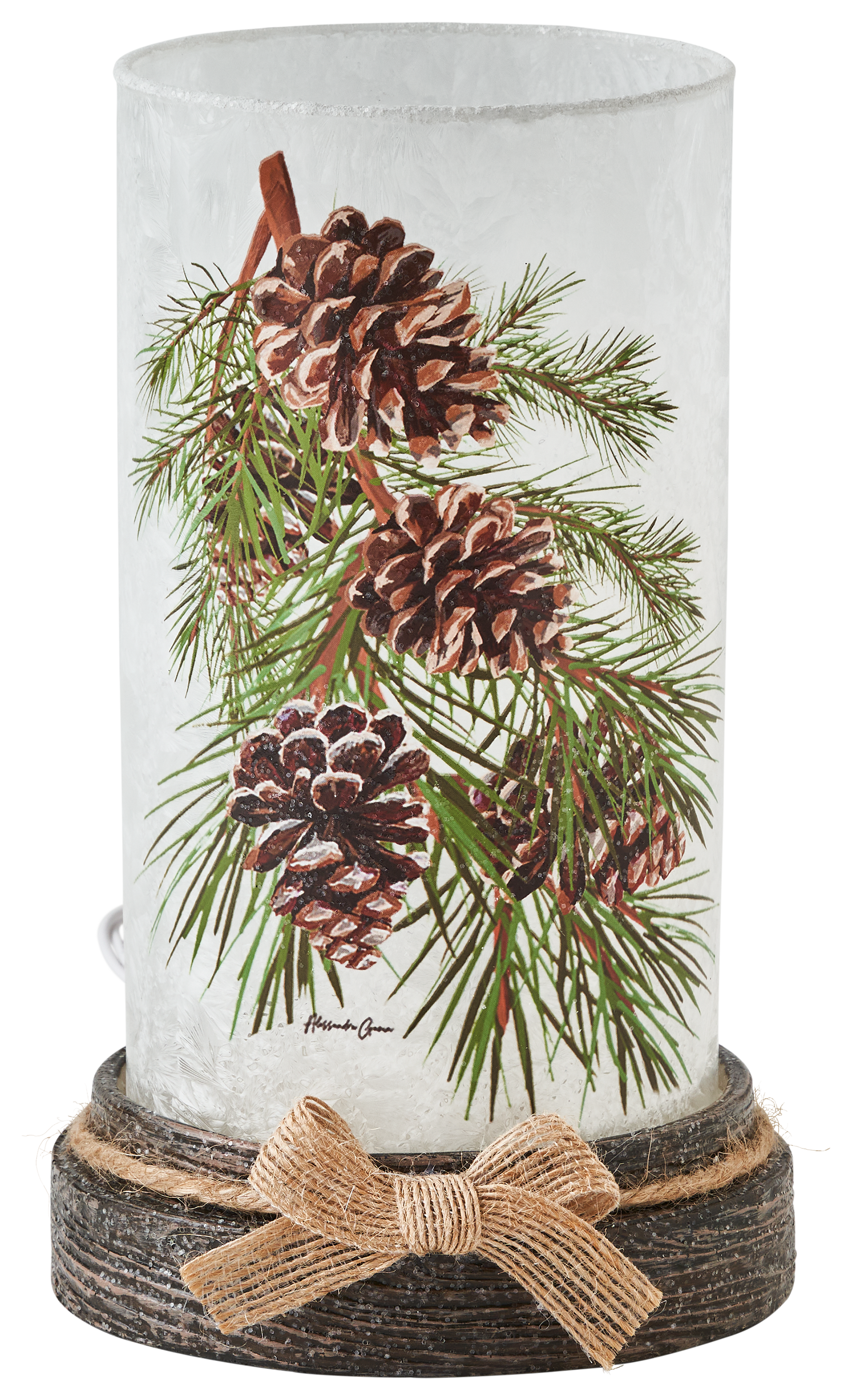 Image of Stony Creek Lighted Glass Vase with Pinecones