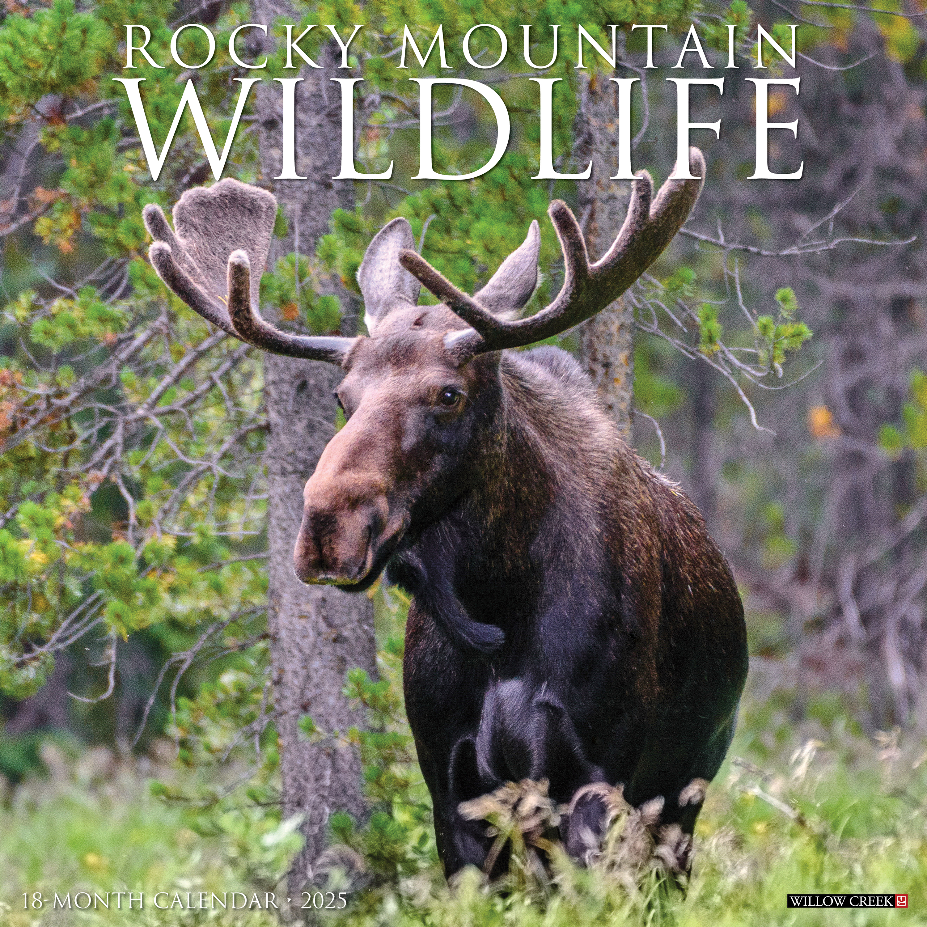 Image of Willow Creek 2025 Rocky Mountain Wildlife 18-Month Wall Calendar