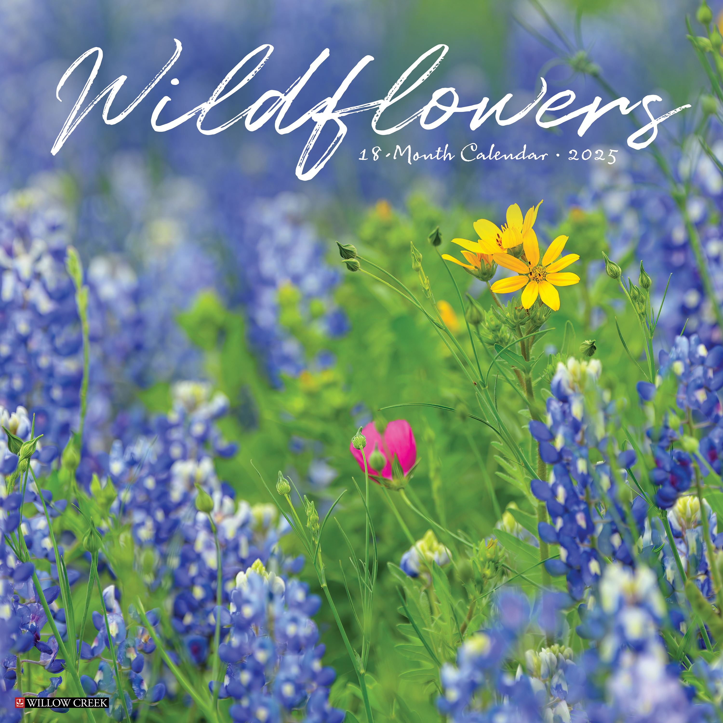 Image of Willow Creek 2025 Wildflowers 18-Month Wall Calendar