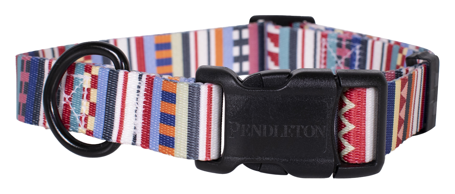 Pendleton Pet Tamiami Adventure Dog Collar - L - Pendleton