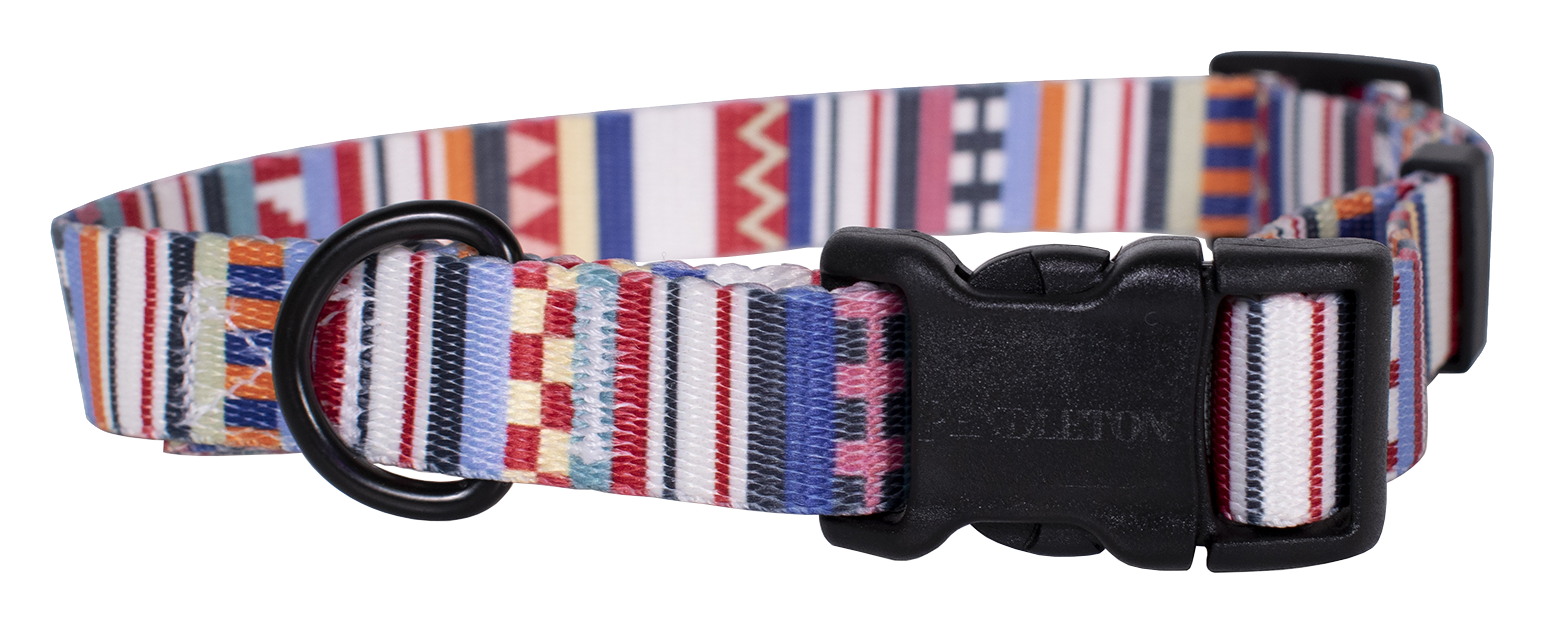Pendleton Pet Tamiami Adventure Dog Collar - M - Pendleton
