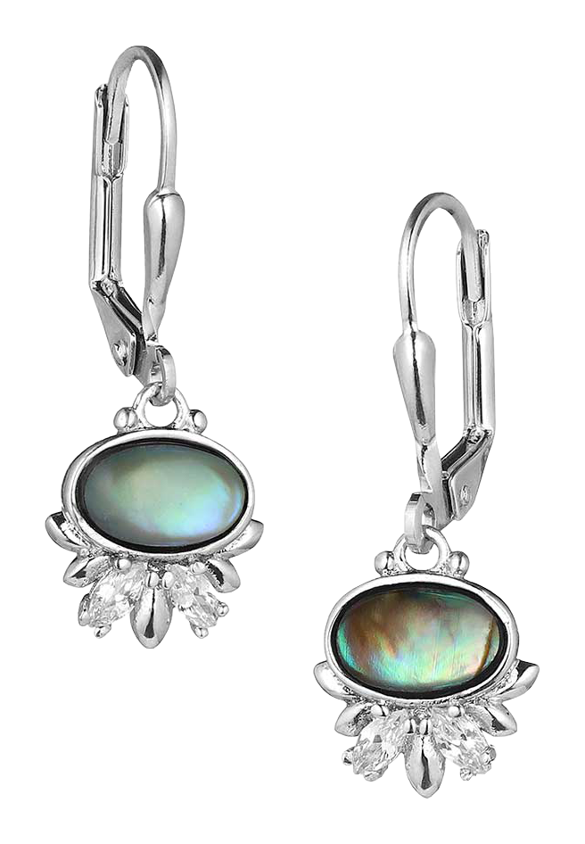 Image of Montana Silversmiths Aurora Lights Crystal Earrings