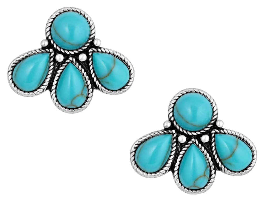 Image of Montana Silversmiths Nature's Wonder Turquoise Earrings