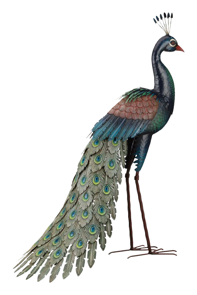 Image of Regal Art & Gift Standing Peacock Statuary