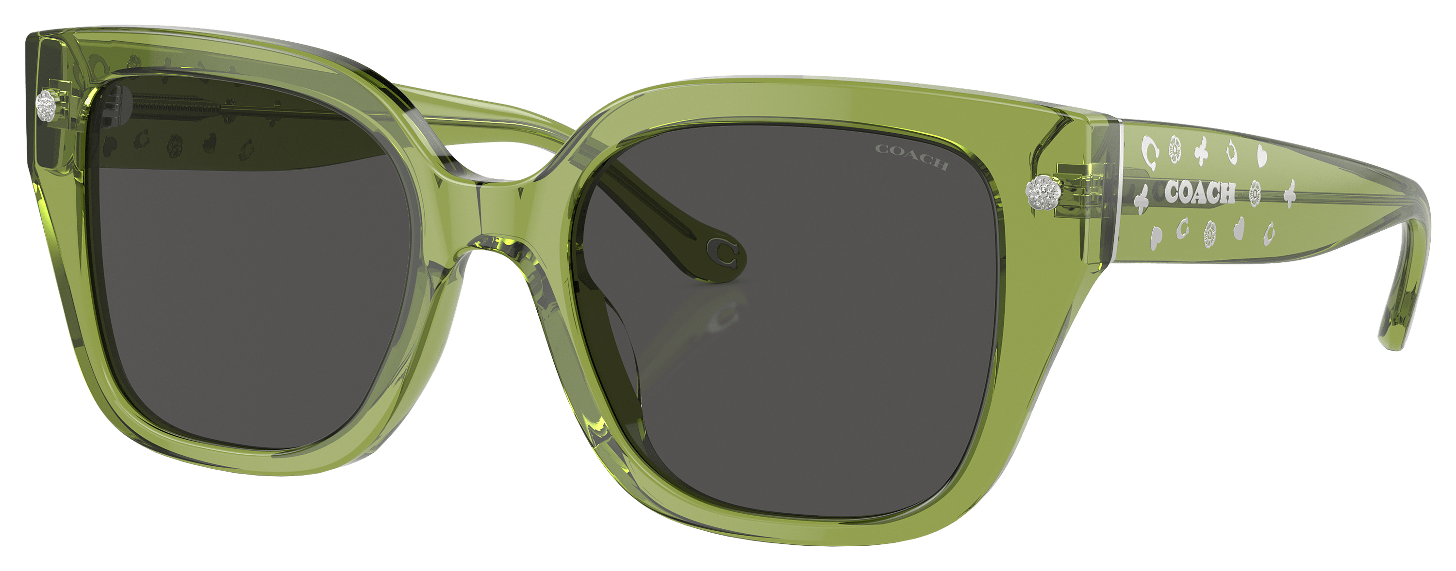 COACH HC8392U Sunglasses for Ladies