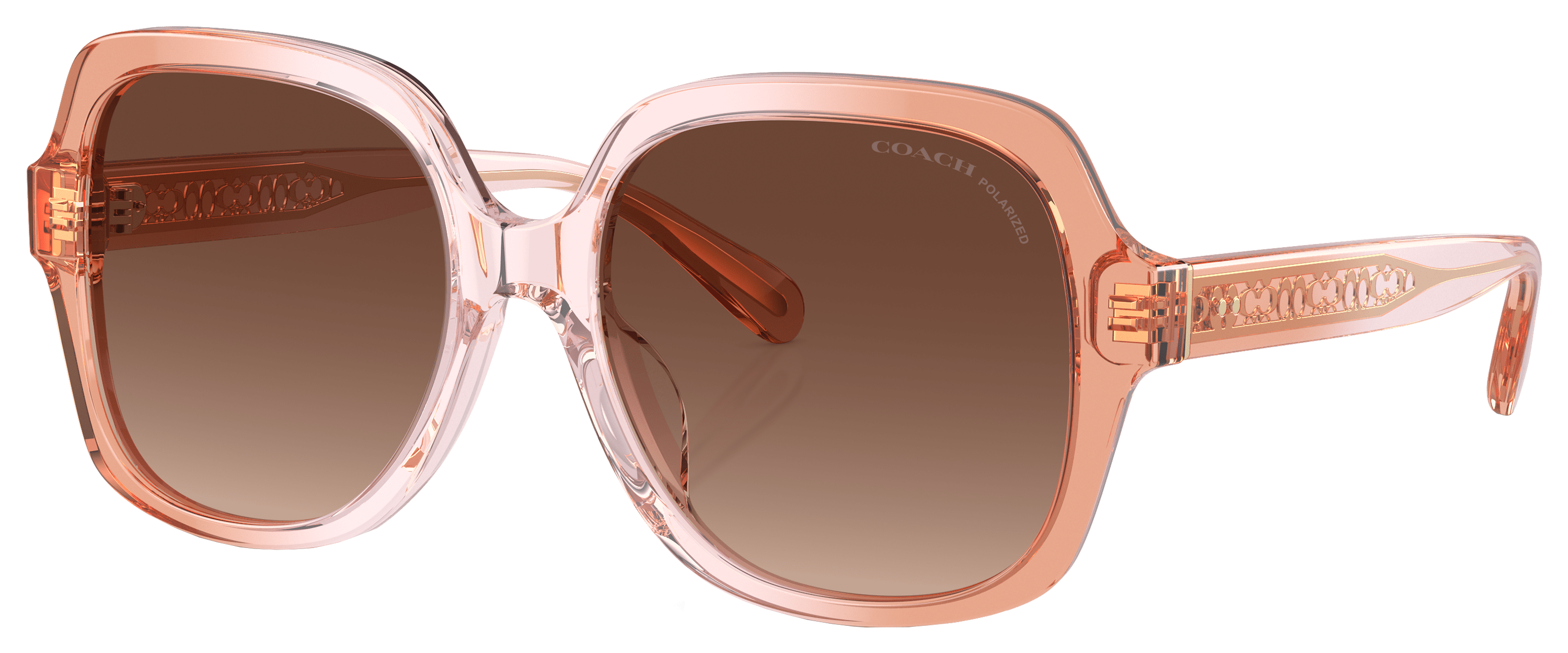 Image of Coach HC8395U Polarized Sunglasses for Ladies - Saddle/Dusty Rose Gradient/Brown Gradient - Medium