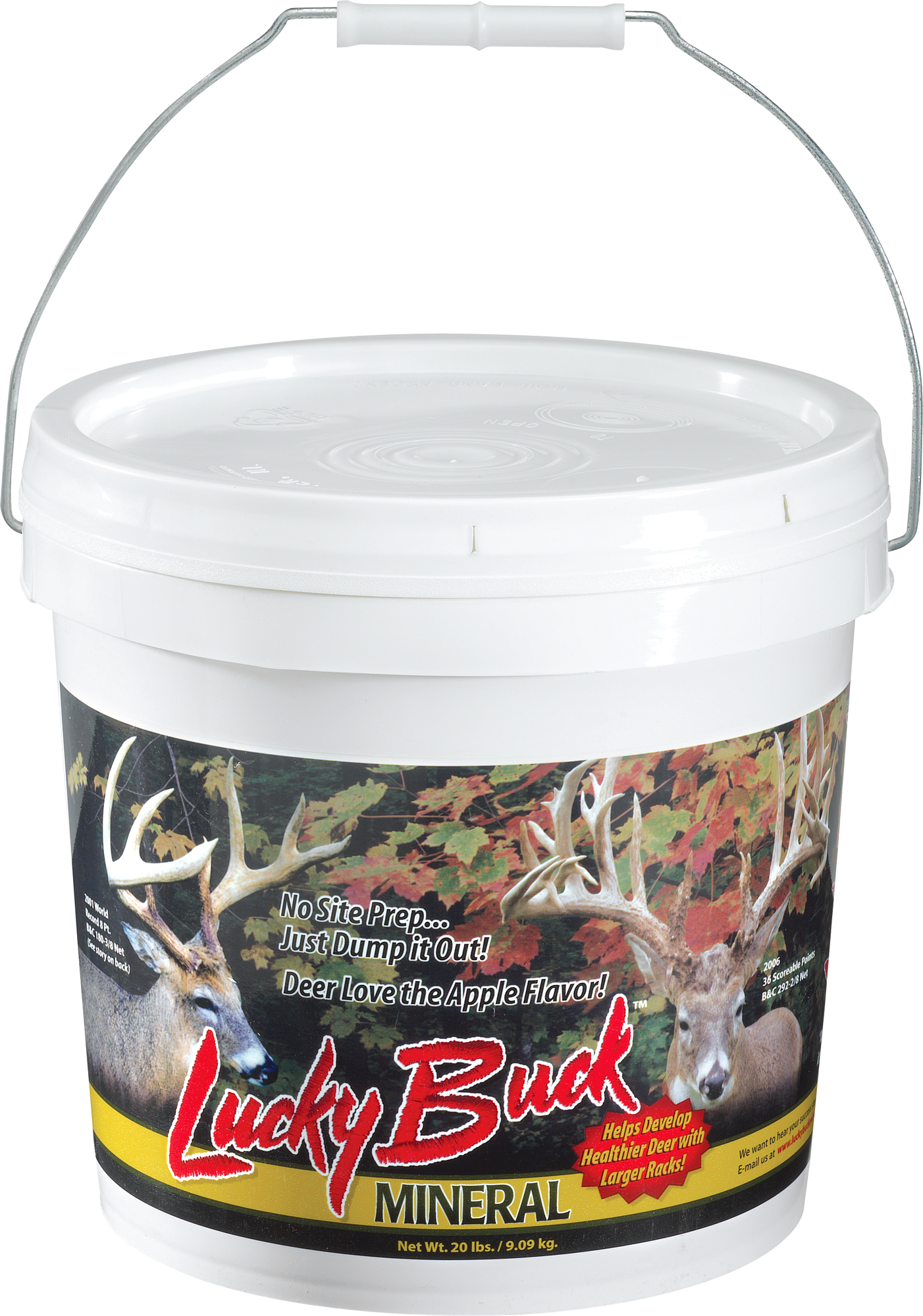 Lucky Buck Salt/Mineral