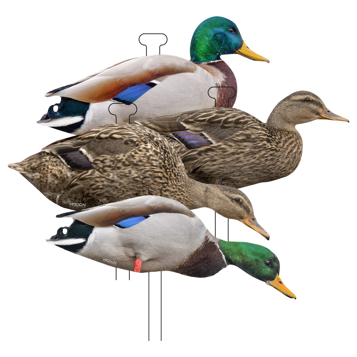 Higdon FLATS Mallard Duck Standard Silhouette Decoys 12 Pack - Higdon Outdoors