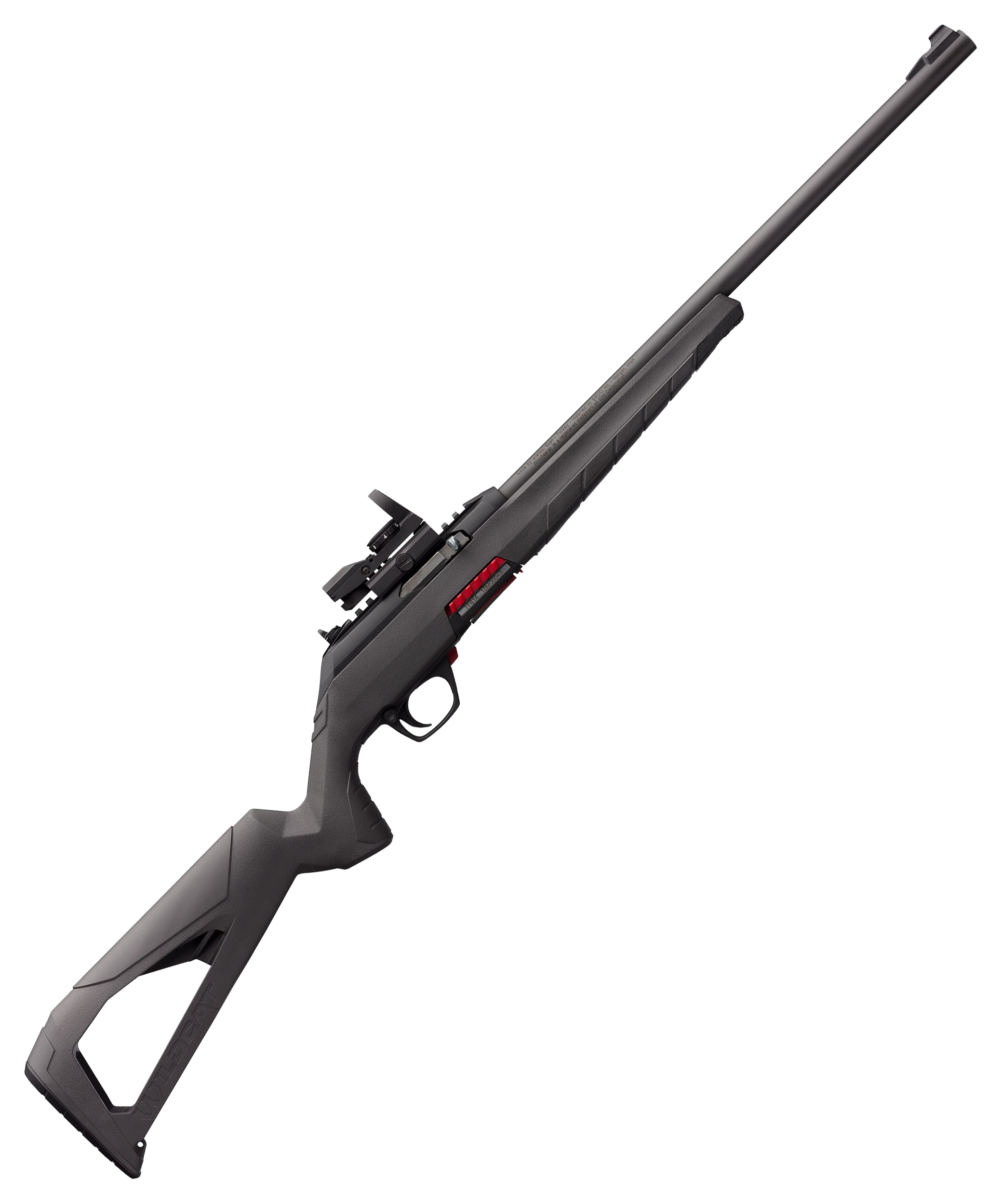 Winchester Wildcat 22 Combo SemiAuto Rimfire Rifle with Reflex Sight
