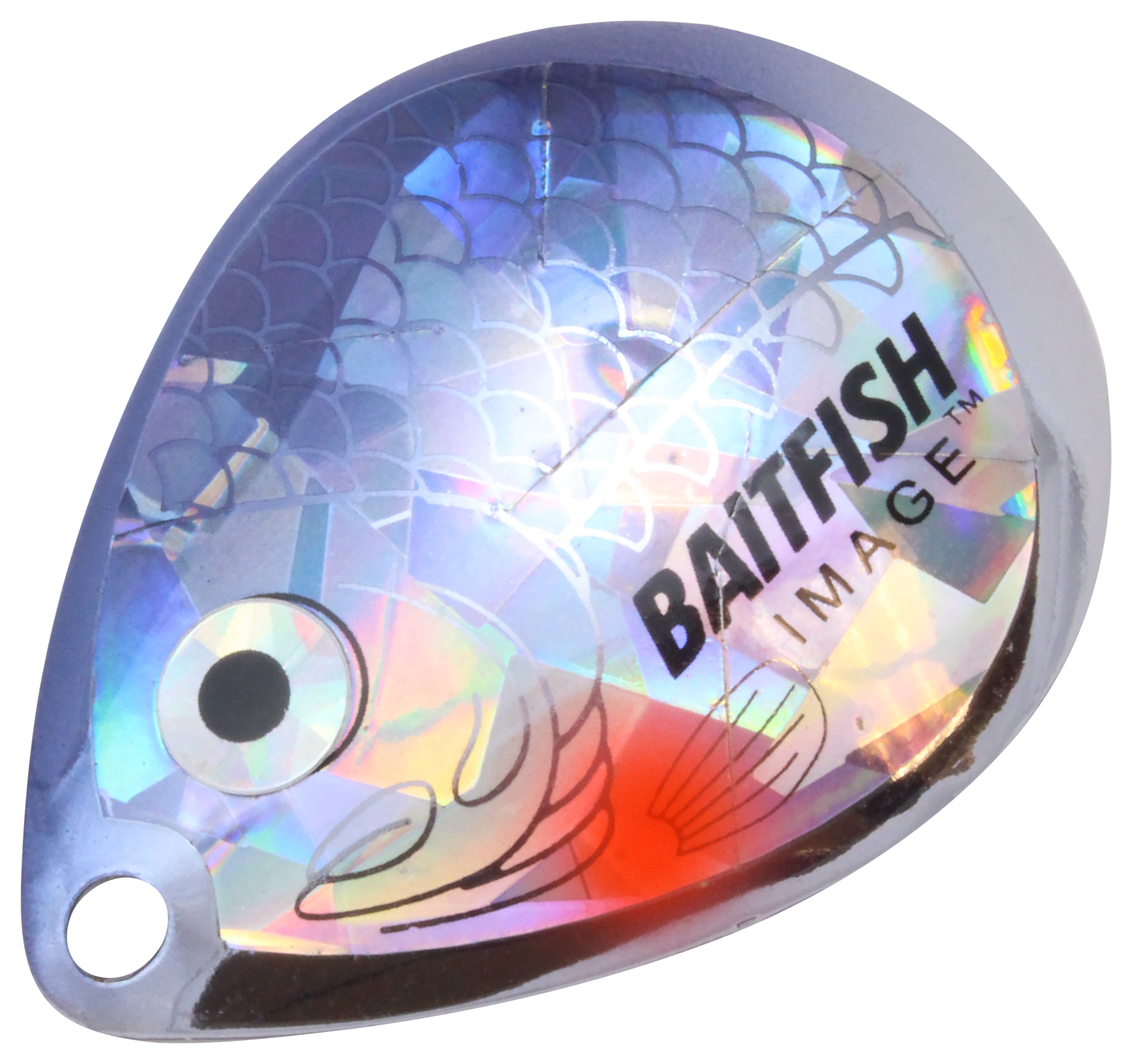 Baitfish-Image Colorado Blades - Northland Fishing Tackle