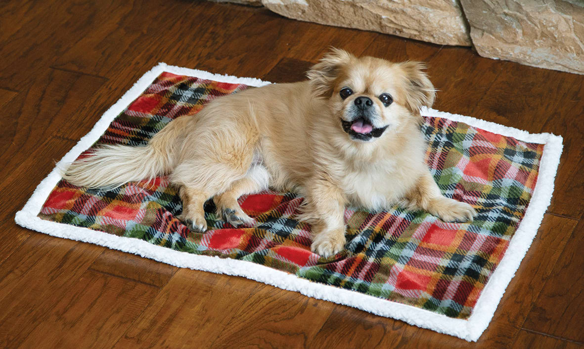 Image of Carstens, Inc. Rust and Sage Plaid Dog Blanket - S/M