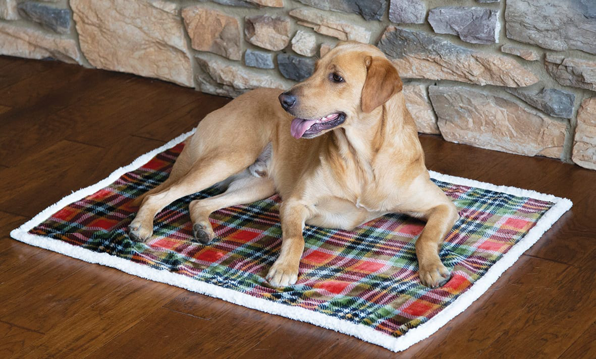 Image of Carstens, Inc. Rust and Sage Plaid Dog Blanket - L/XL