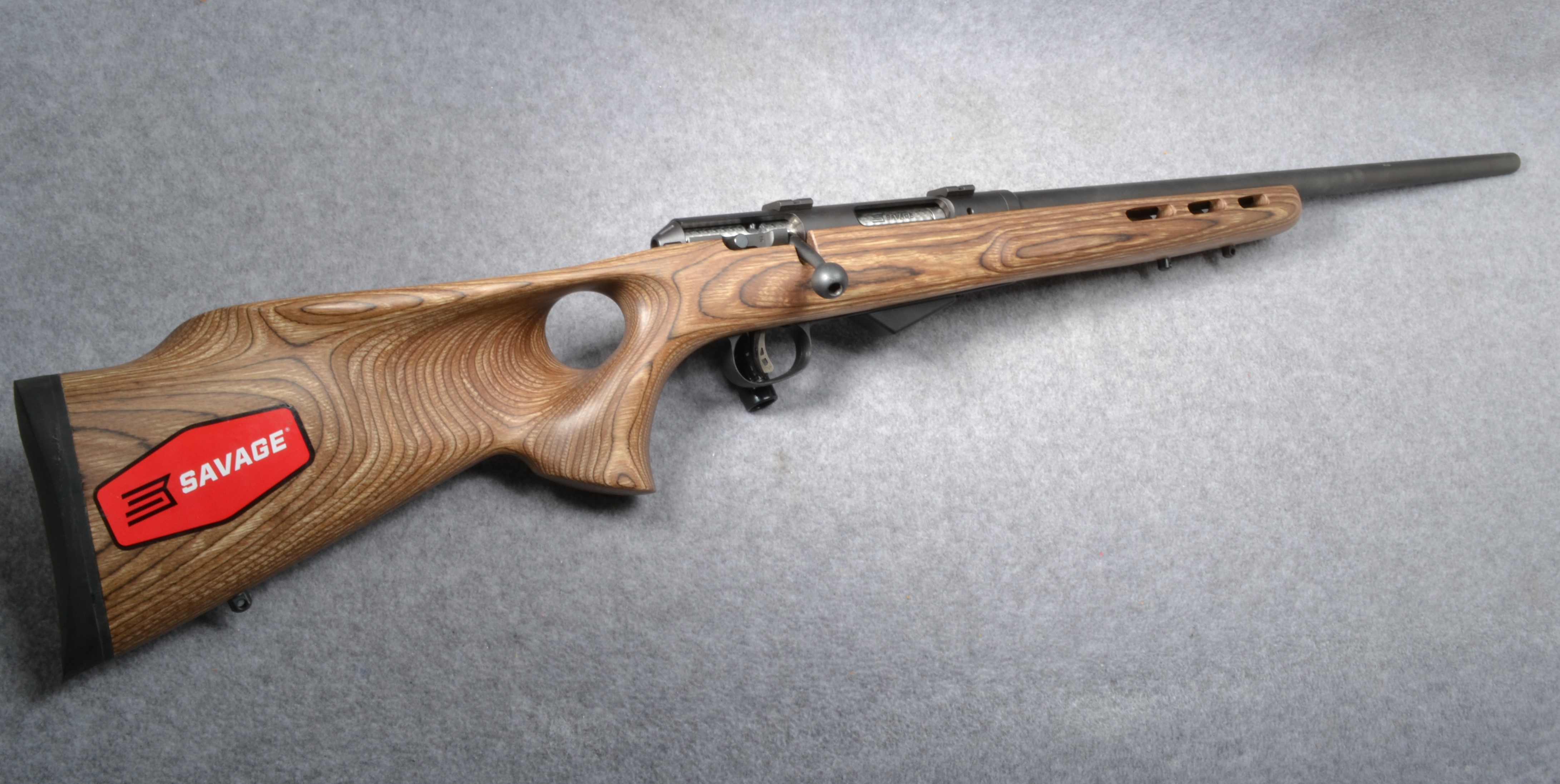 ++SAVAGE 25 .17 HORNET - Savage Arms