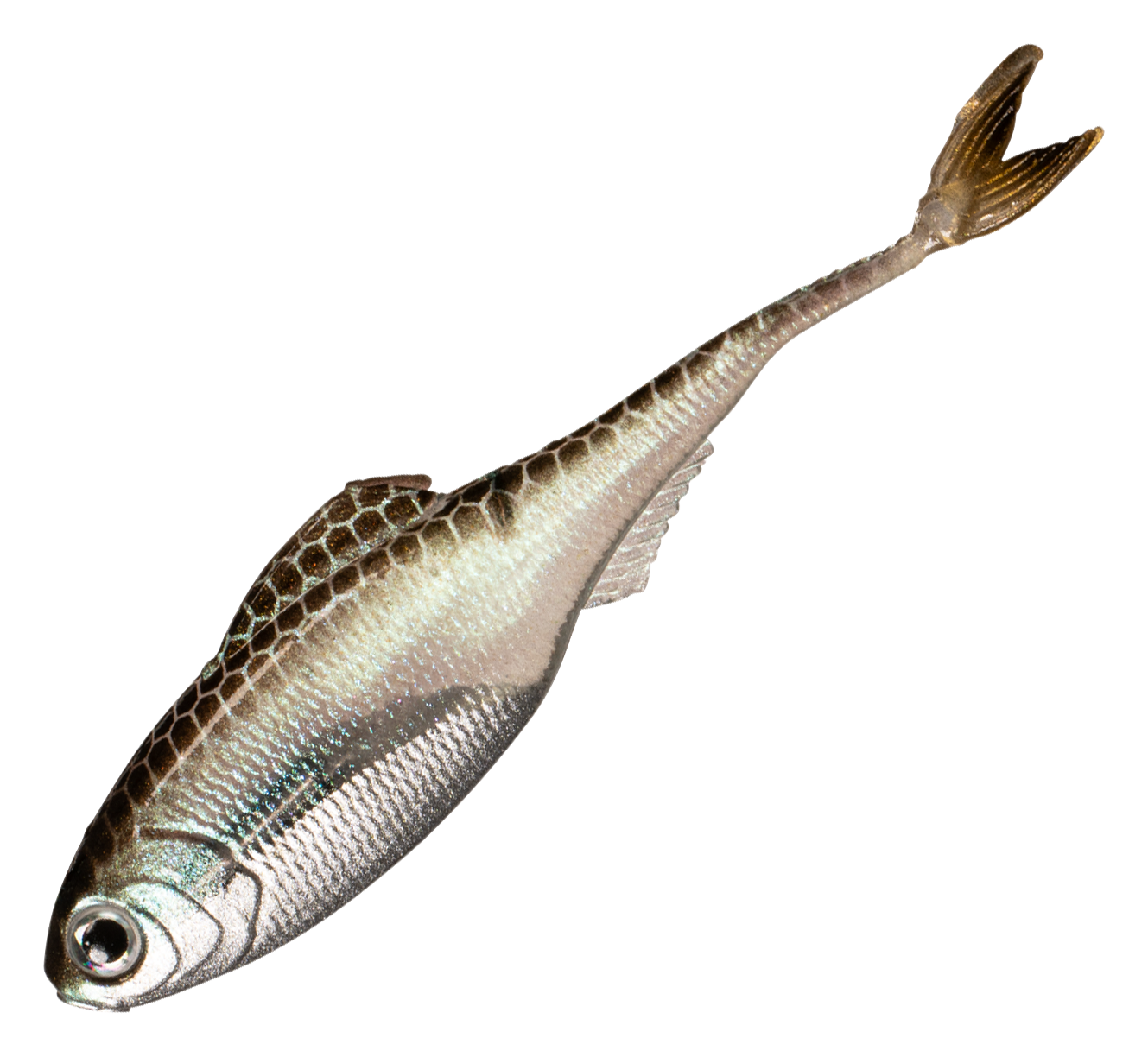 Image of "6th Sense Fishing Fiction Shad - Green Shiner - 4.3"""