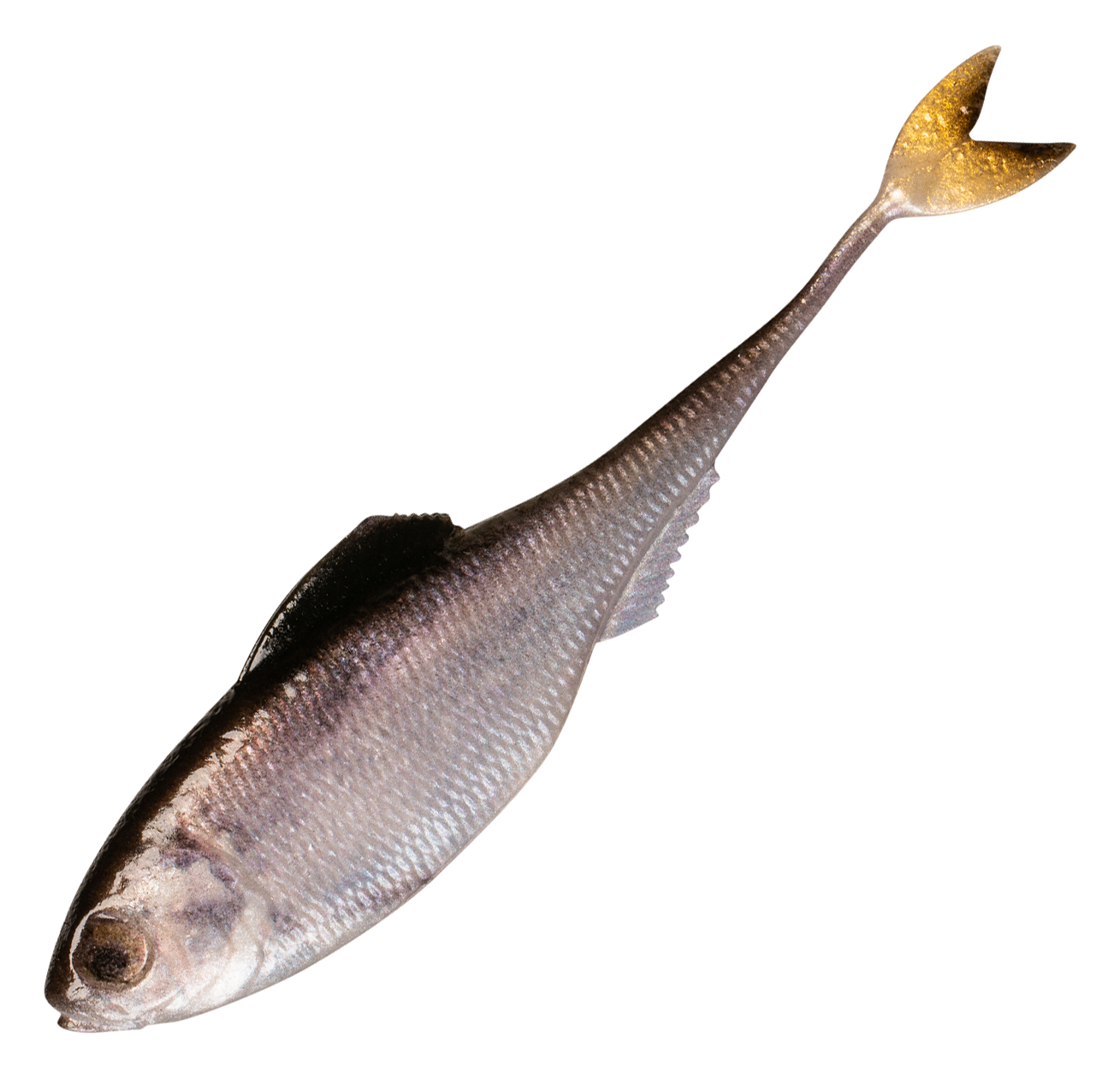 Image of 6th Sense Fishing Fiction Shad