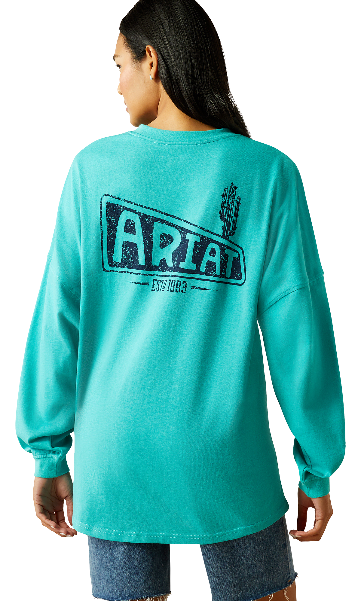 Image of Ariat Graphic Canvas Oversized Long-Sleeve T-Shirt for Ladies - Blue Turquoise