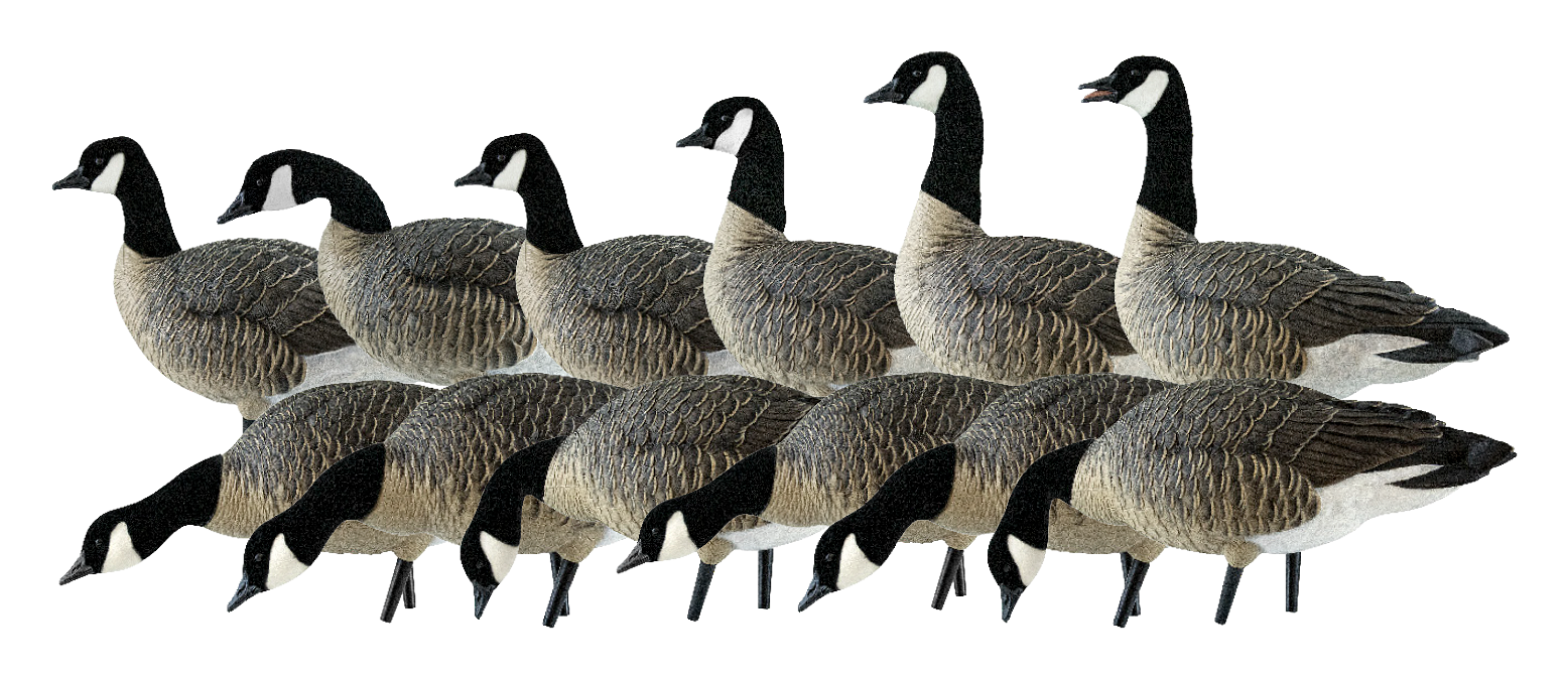Image of Avian-X AXP Full-Body Lesser Canada Goose Decoy Outfitter Pack