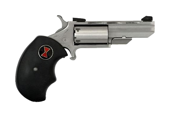 Image of North American Arms Black Widow Stainless Single-Action Rimfire Revolver