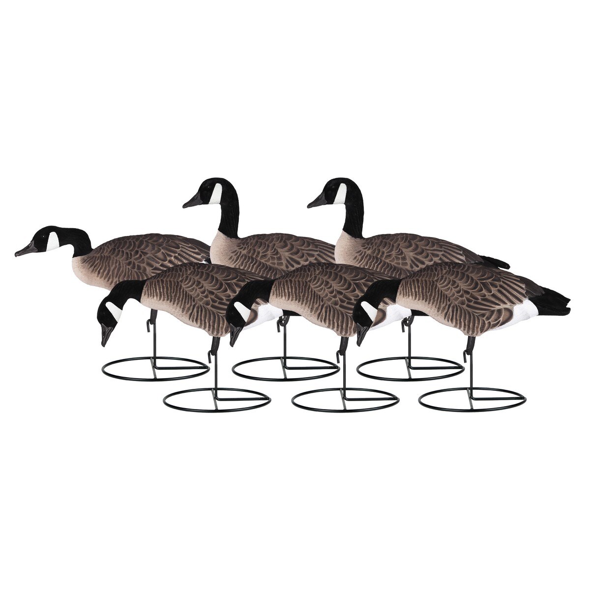 Image of Dakota Decoys Xtreme Fully Flocked Canada Lessers Goose Decoys 6 Pack