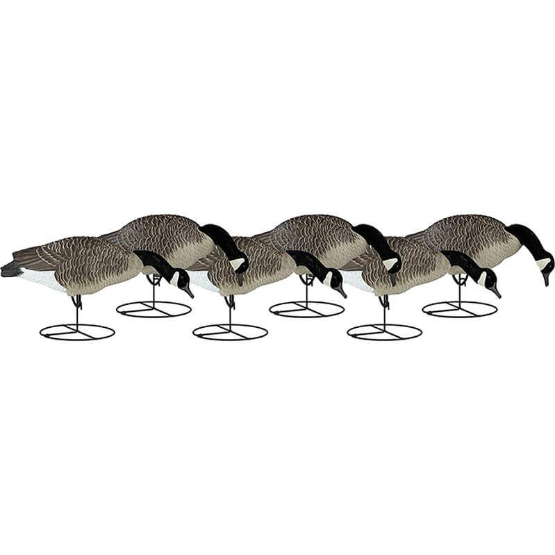 Image of Dakota 1 Piece Canada Full Body Feeder Goose Decoys - 6 Pack