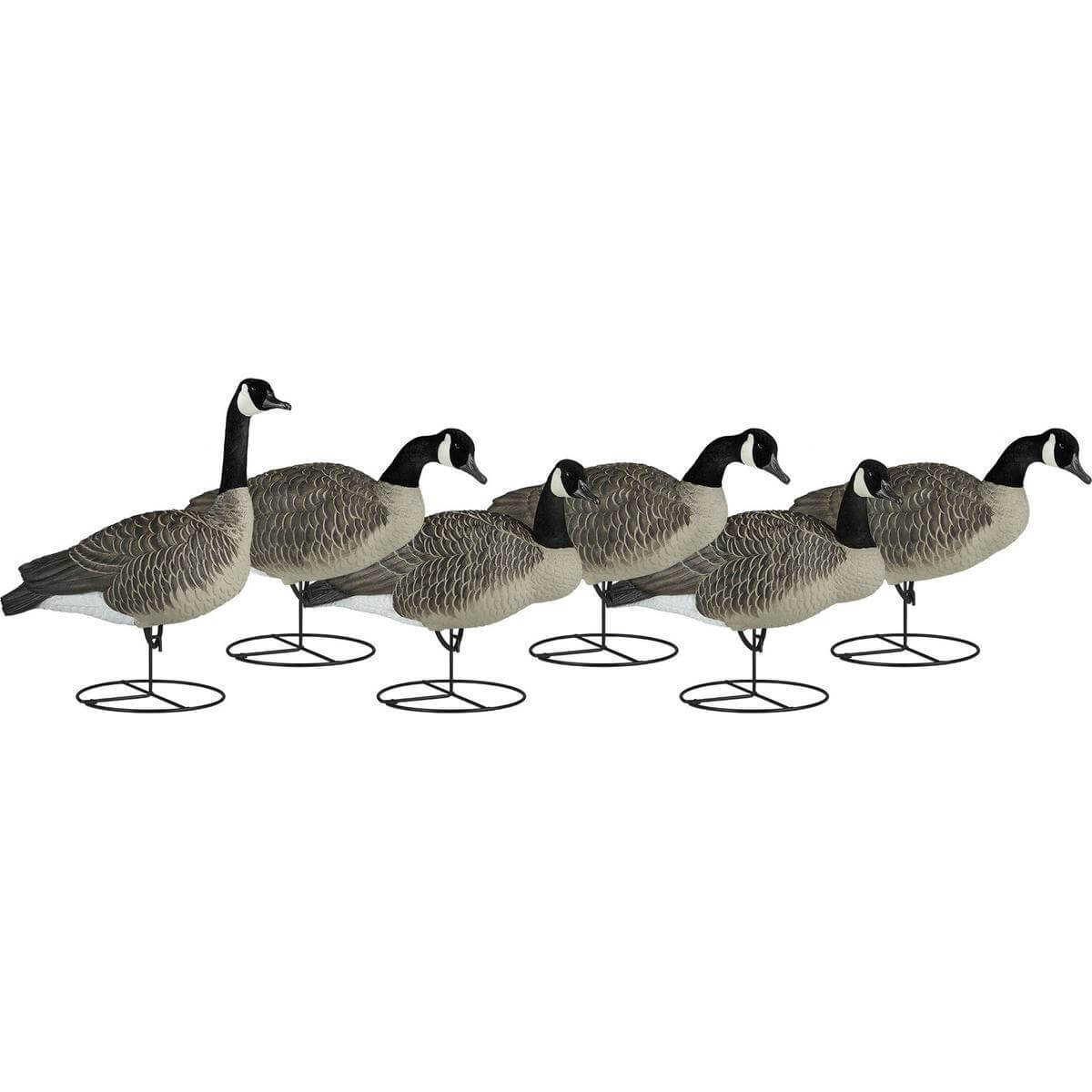 Image of Dakota Decoys 1 Piece Full Body Upright Canada Goose Decoys 6 Pack