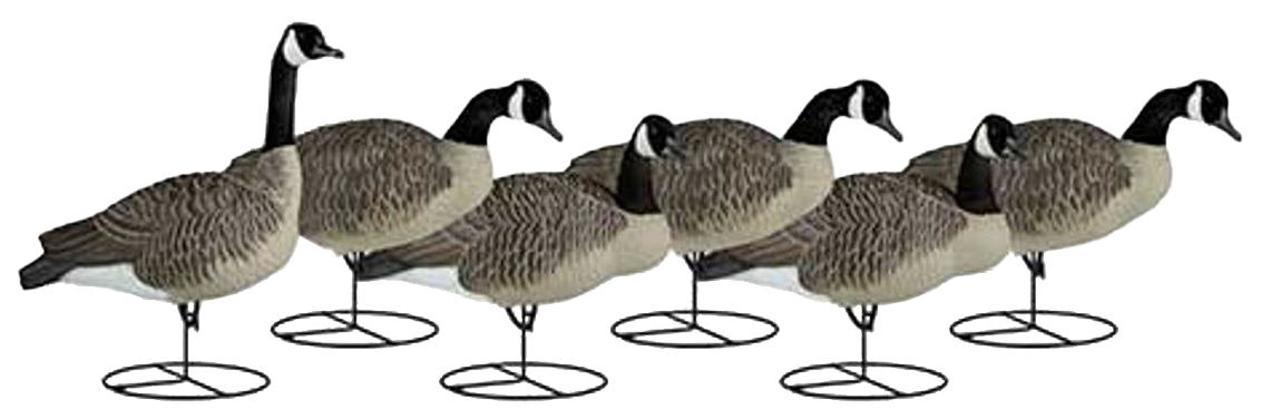Image of Dakota Decoys Company Signature Series Fully Flocked Canada Goose Decoy Upright 6 Pack