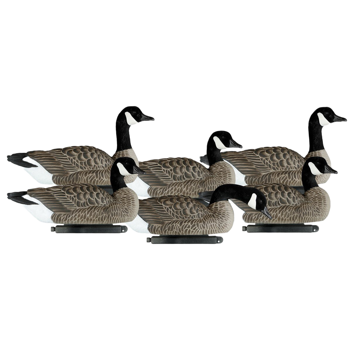 Image of Dakota Decoys Lesser Canada Floater Goose Decoys - 6 Pack