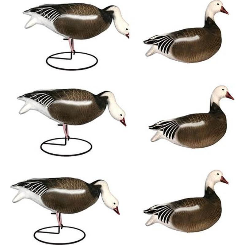 Image of Dakota Decoys Migration Series Full Body Blue Goose Decoys 6 Pack