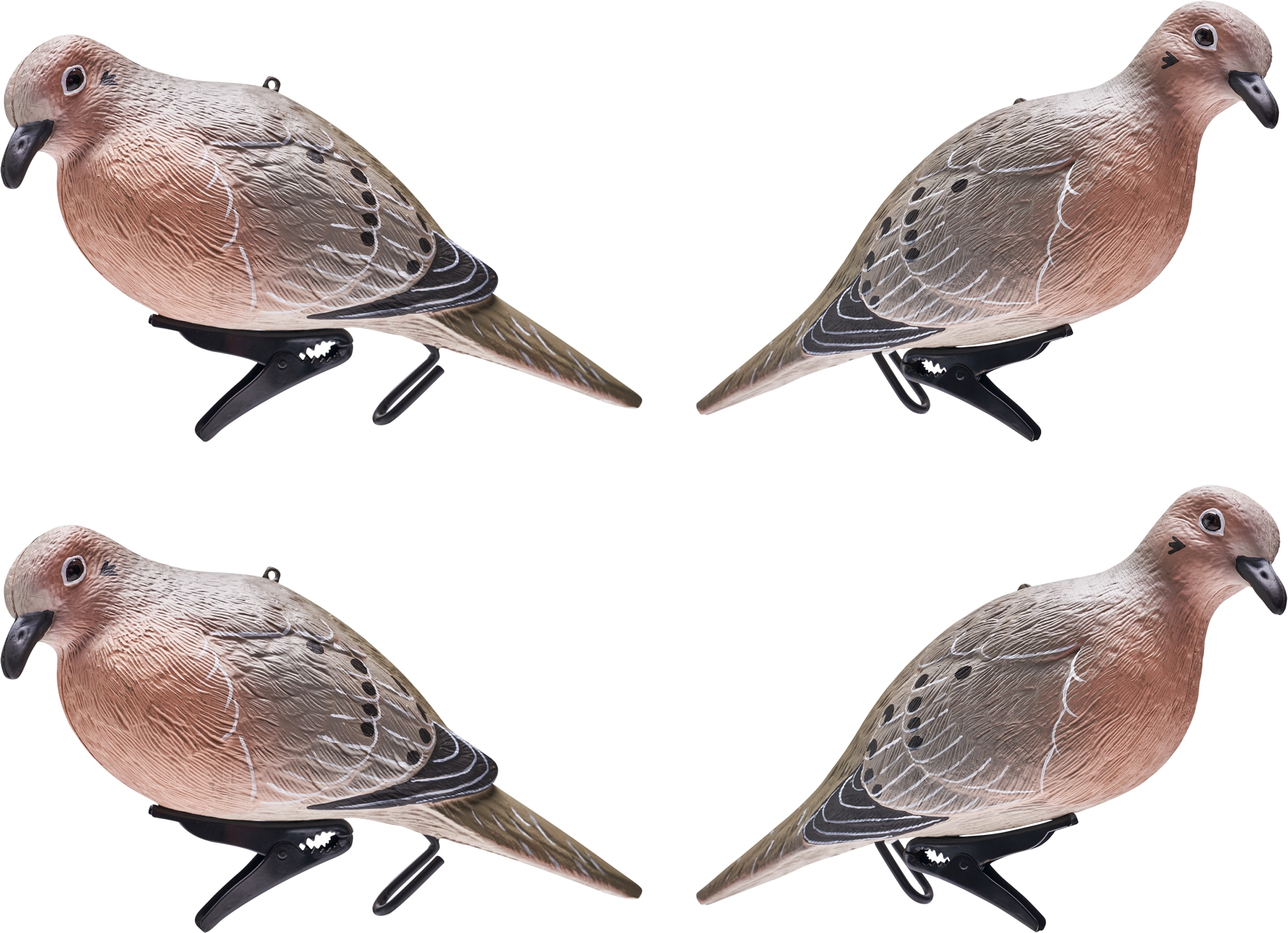 Image of Cabela's Oversized Dove Decoy 4-Pack