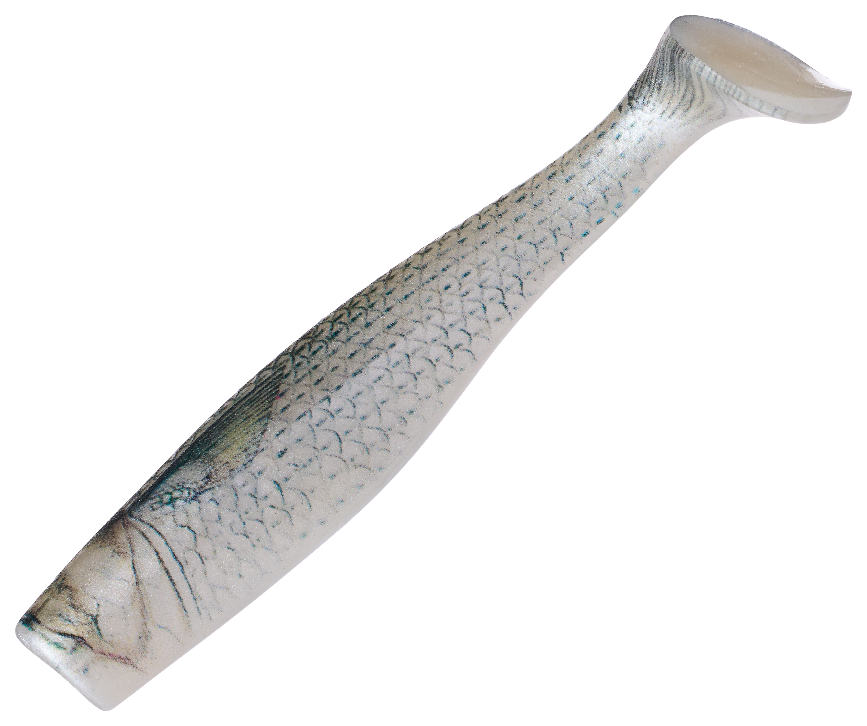 Image of "Bio Bait Shadow Swimmer - Live Mullet - 4"""