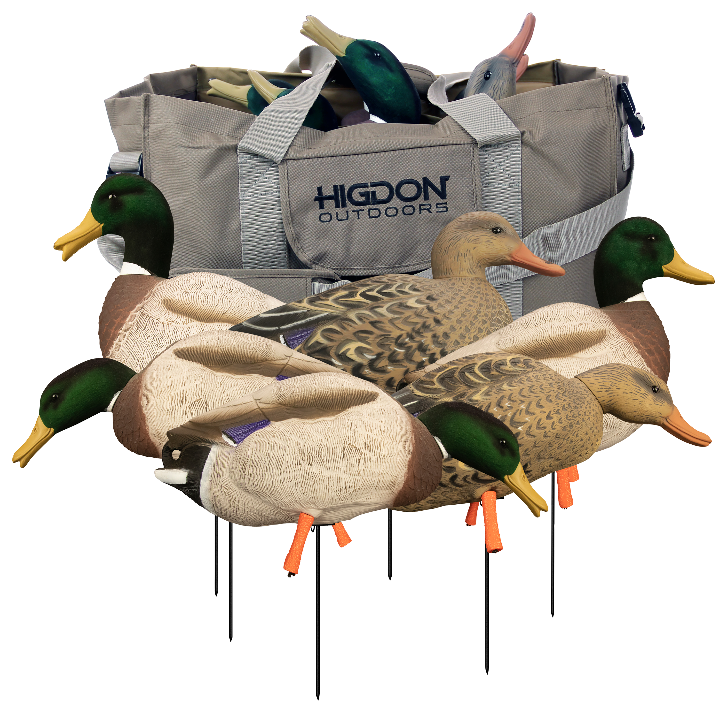 Image of Higdon Magnum Full-Body Mallard Duck Decoys 6 Pack