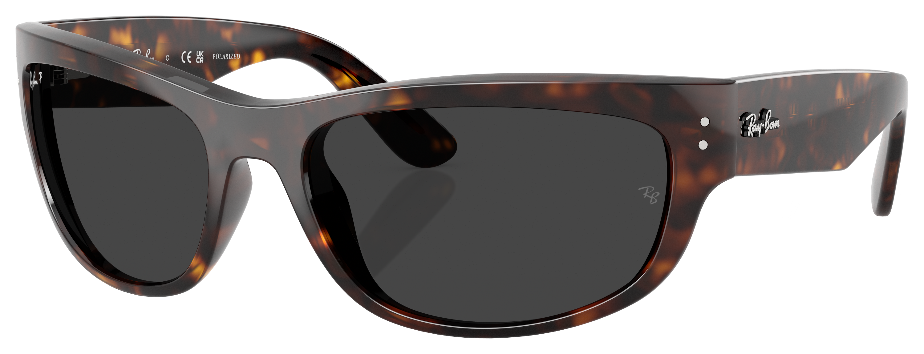 RAY-BAN Mega Balorama RB2289 Glass Polarized Sunglasses