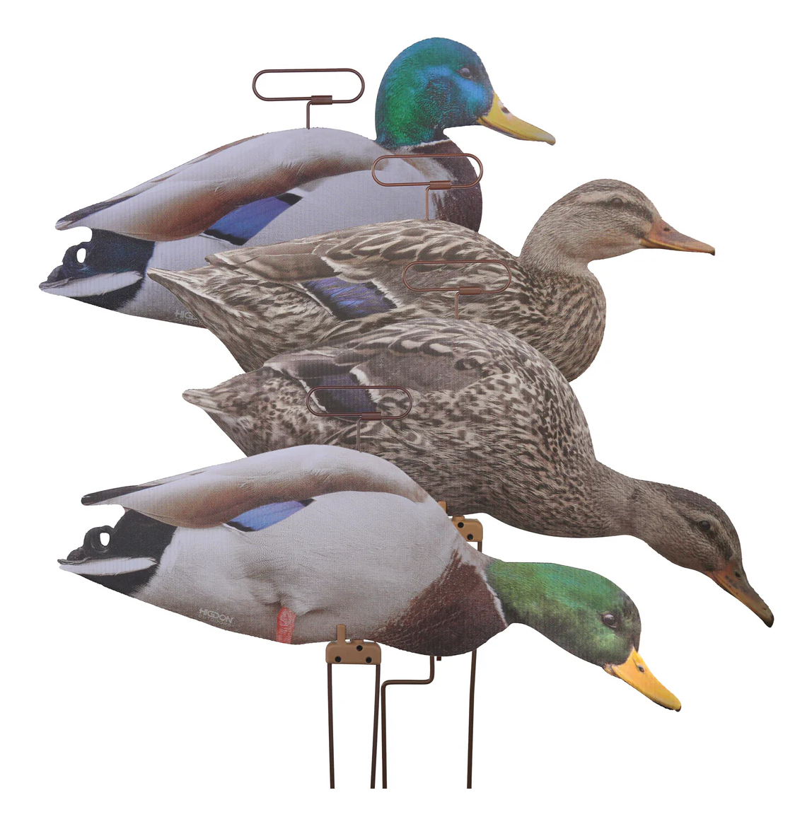 HIGDON FLATS Mallard Duck Motion Silhouette