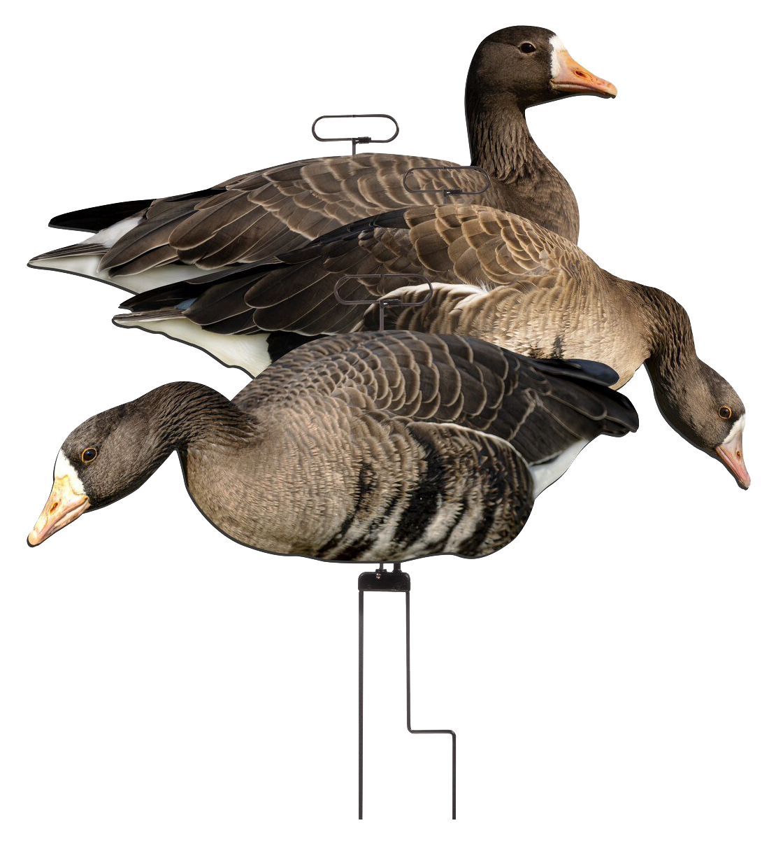Higdon FLATS Specklebelly Goose Motion Silhouette Decoys 12 Pack                                                                